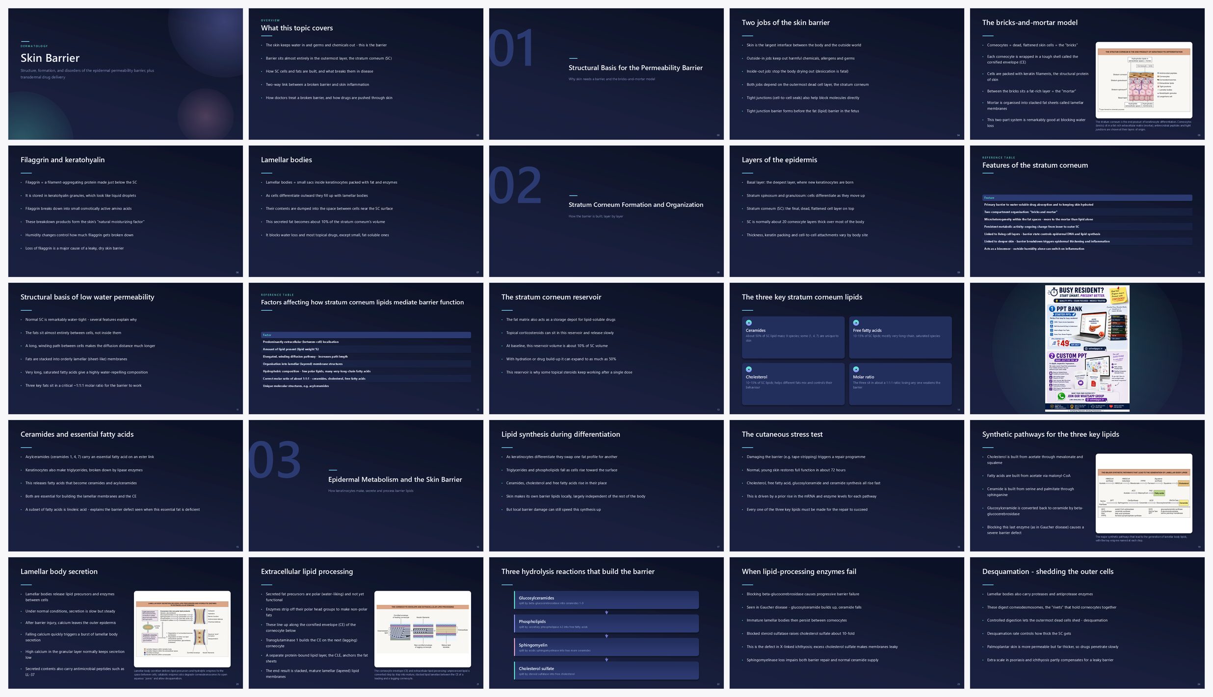 Preview of the first 25 slides of 1. Skin Barrier