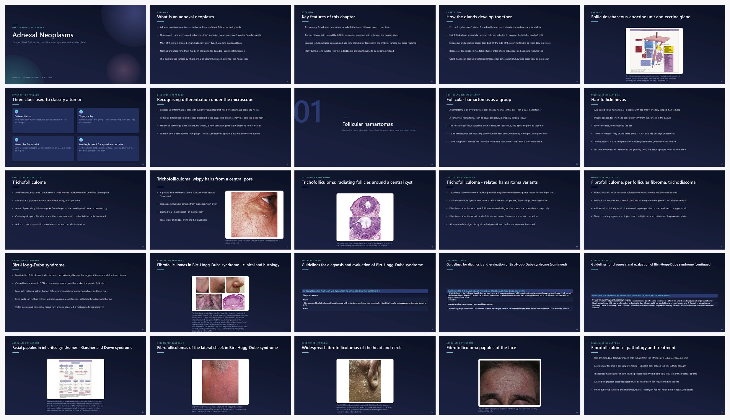Preview of the first 25 slides of Adnexal Neoplasms