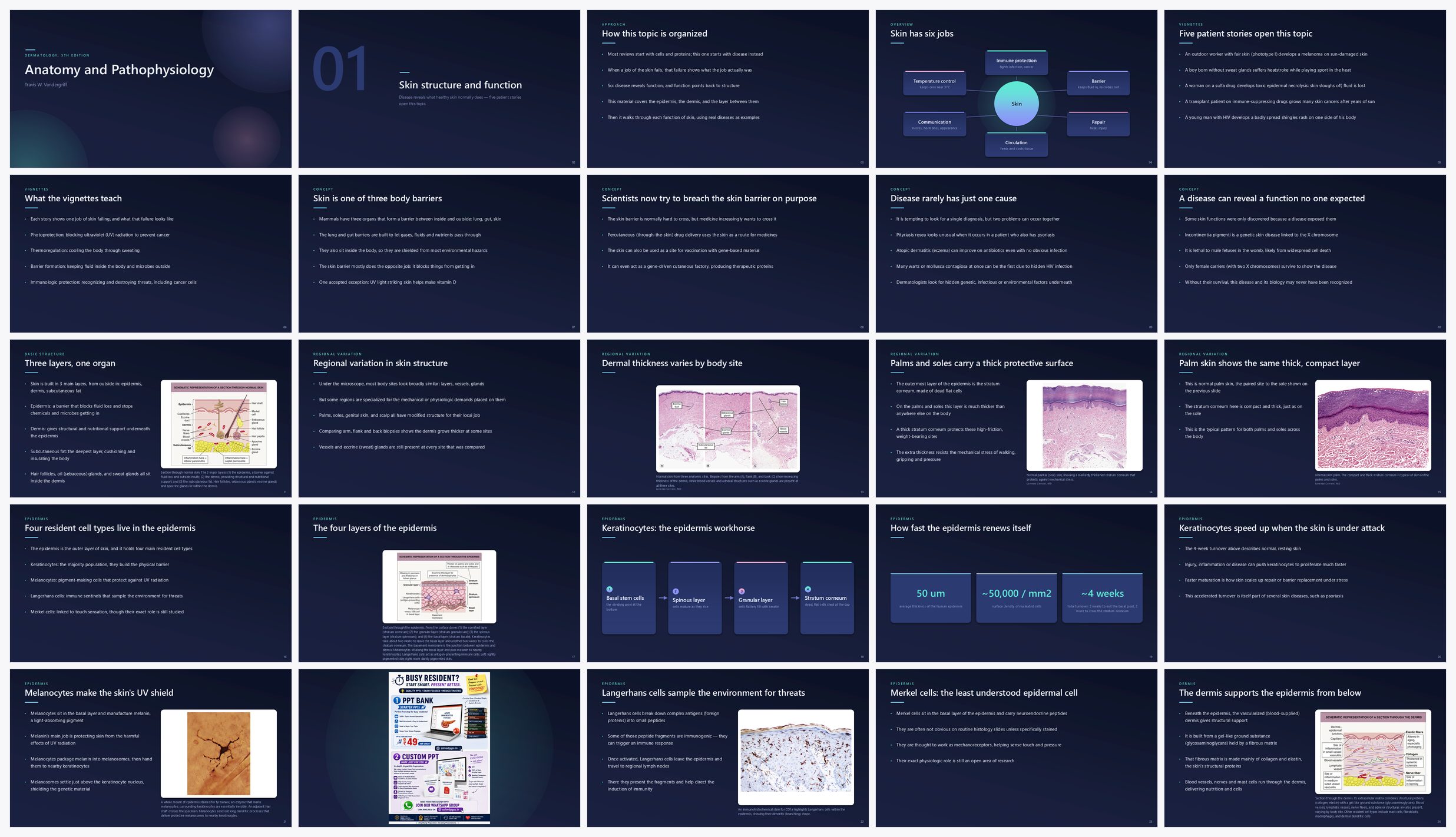 Preview of the first 25 slides of Anatomy and Pathophysiology