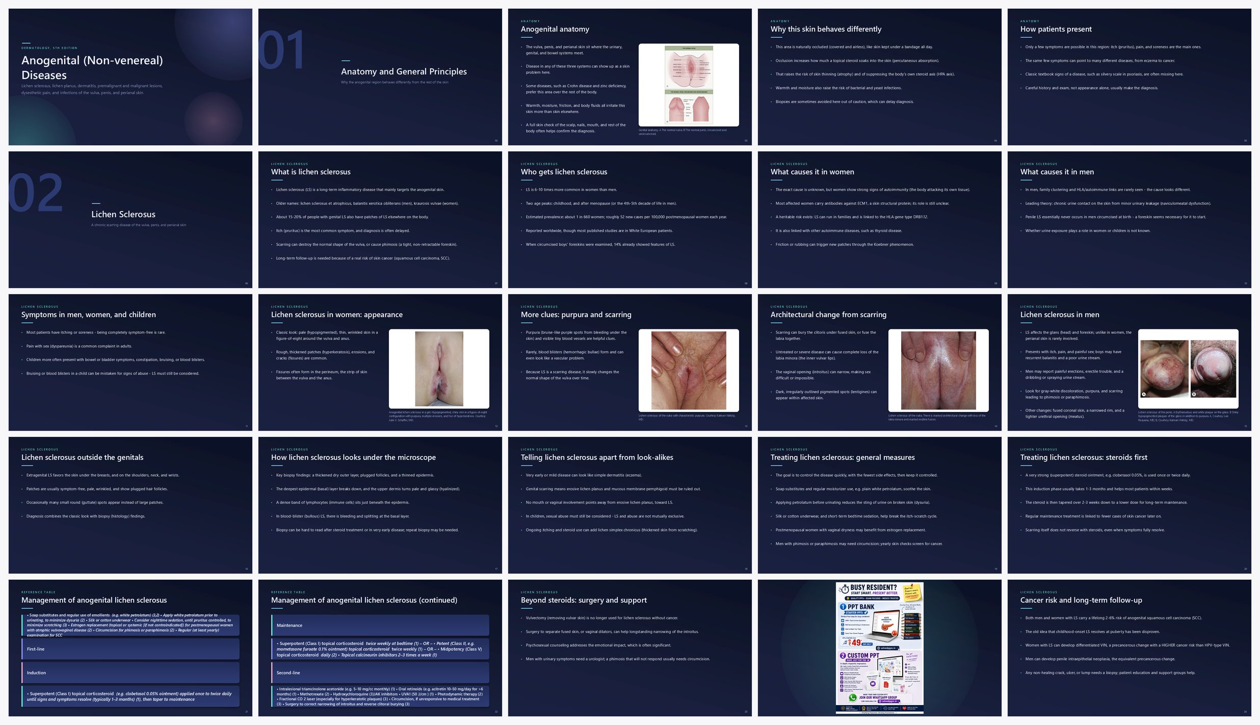 Preview of the first 25 slides of Anogenital (Non-venereal) Diseases