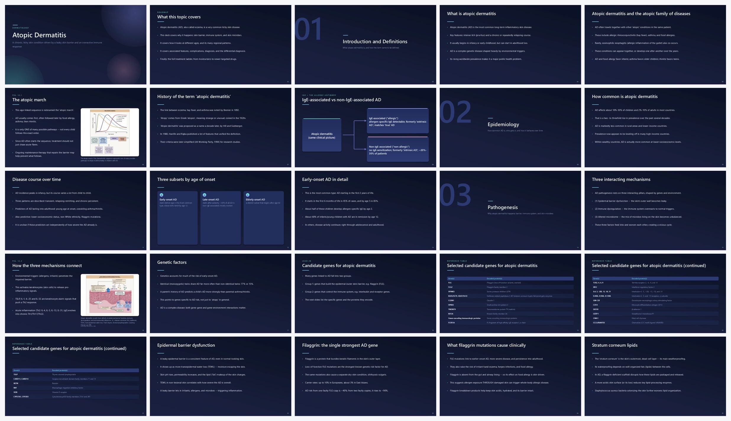 Preview of the first 25 slides of Atopic Dermatitis