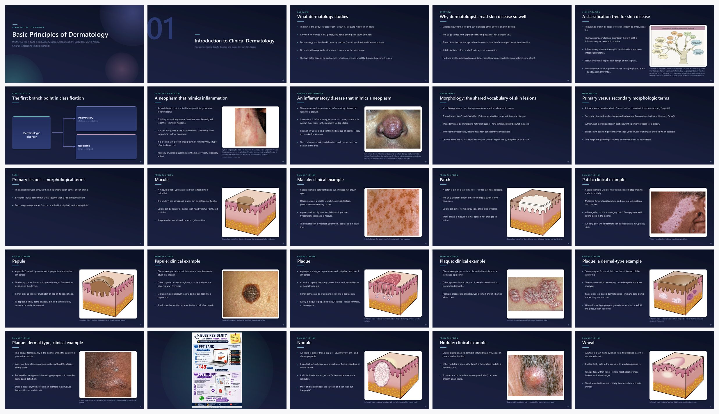 Preview of the first 25 slides of Basic Principles of Dermatology