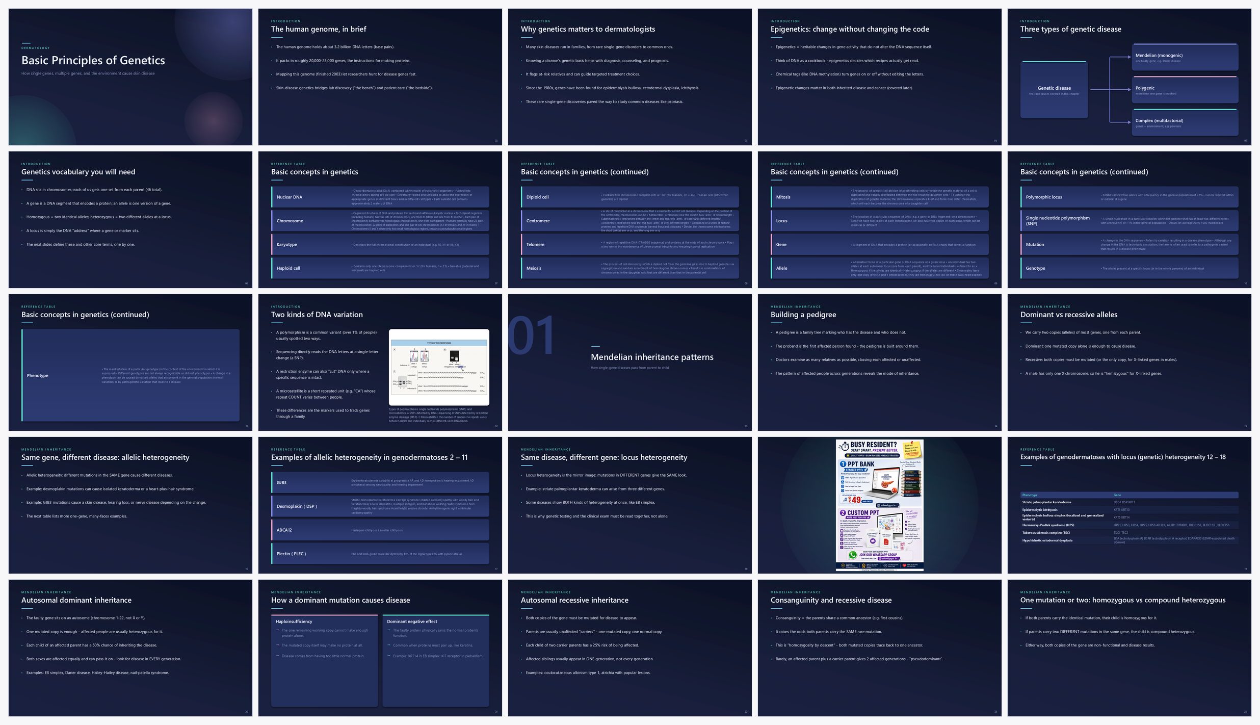 Preview of the first 25 slides of Basic Principles of Genetics