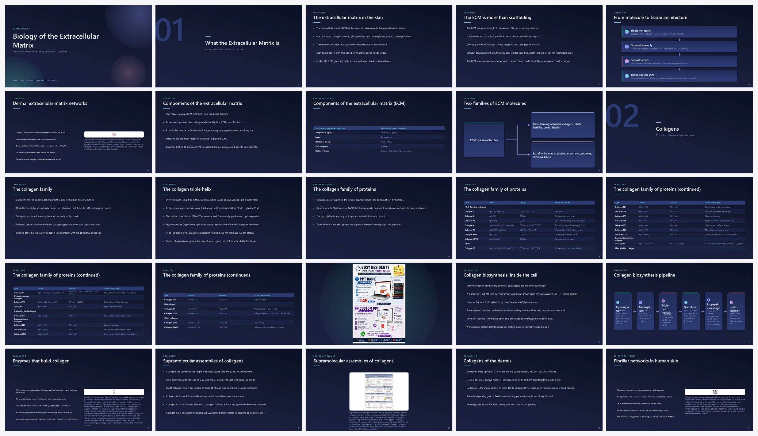 Preview of the first 25 slides of Biology of the Extracellular Matrix