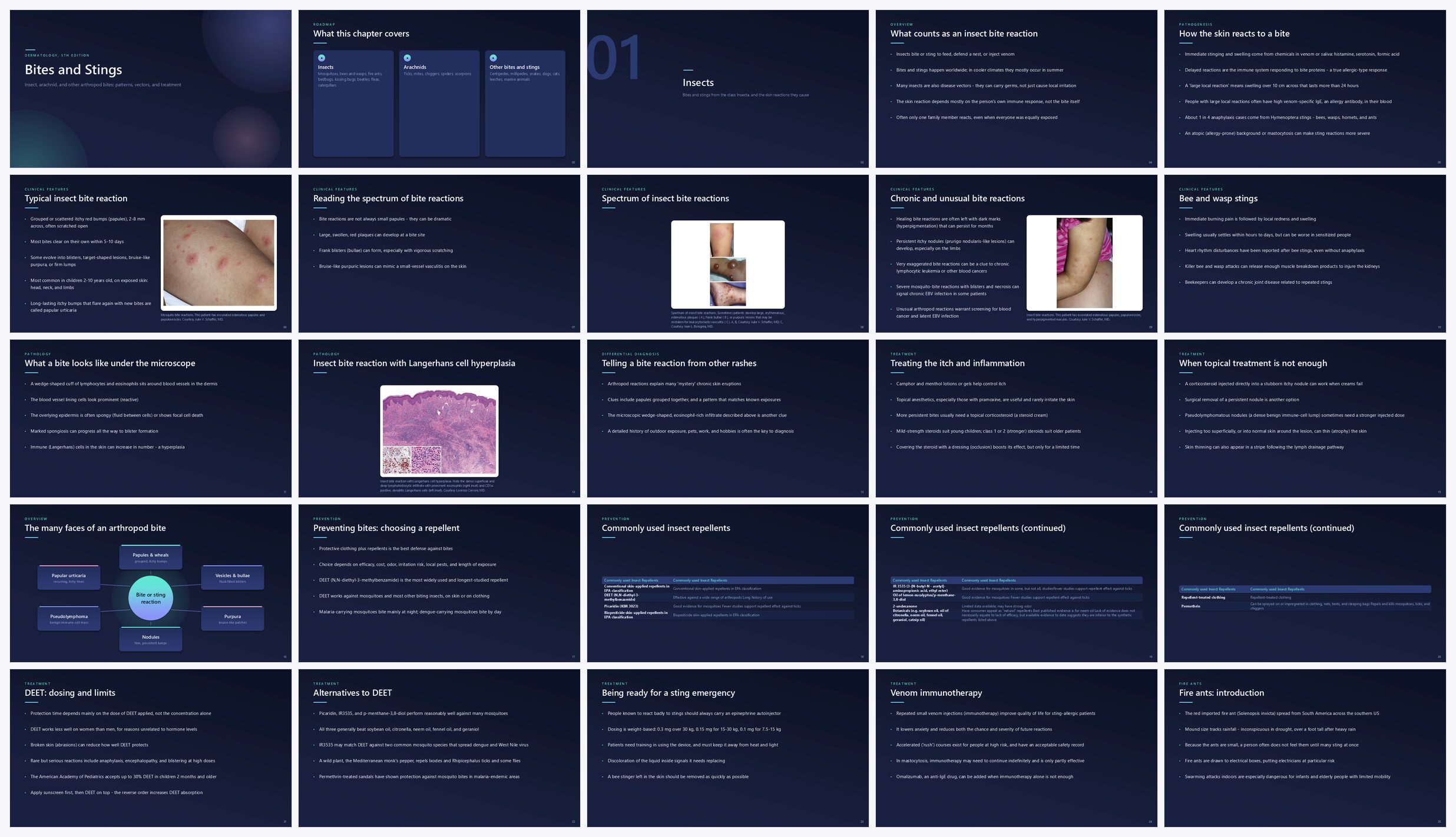 Preview of the first 25 slides of Bites and Stings