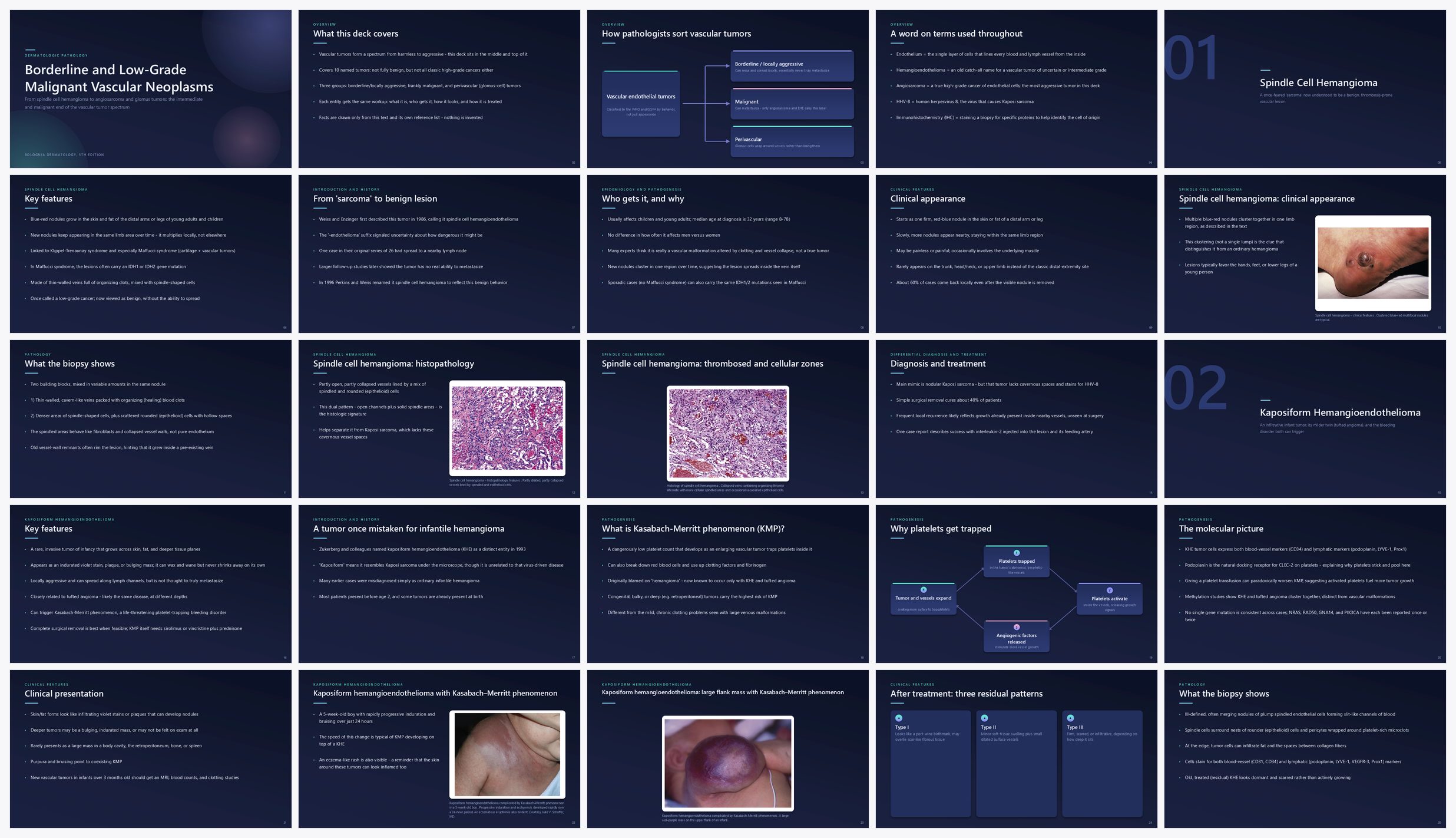 Preview of the first 25 slides of BORDERLINE AND LOW-GRADE MALIGNANT VASCULAR NEOPLASMS