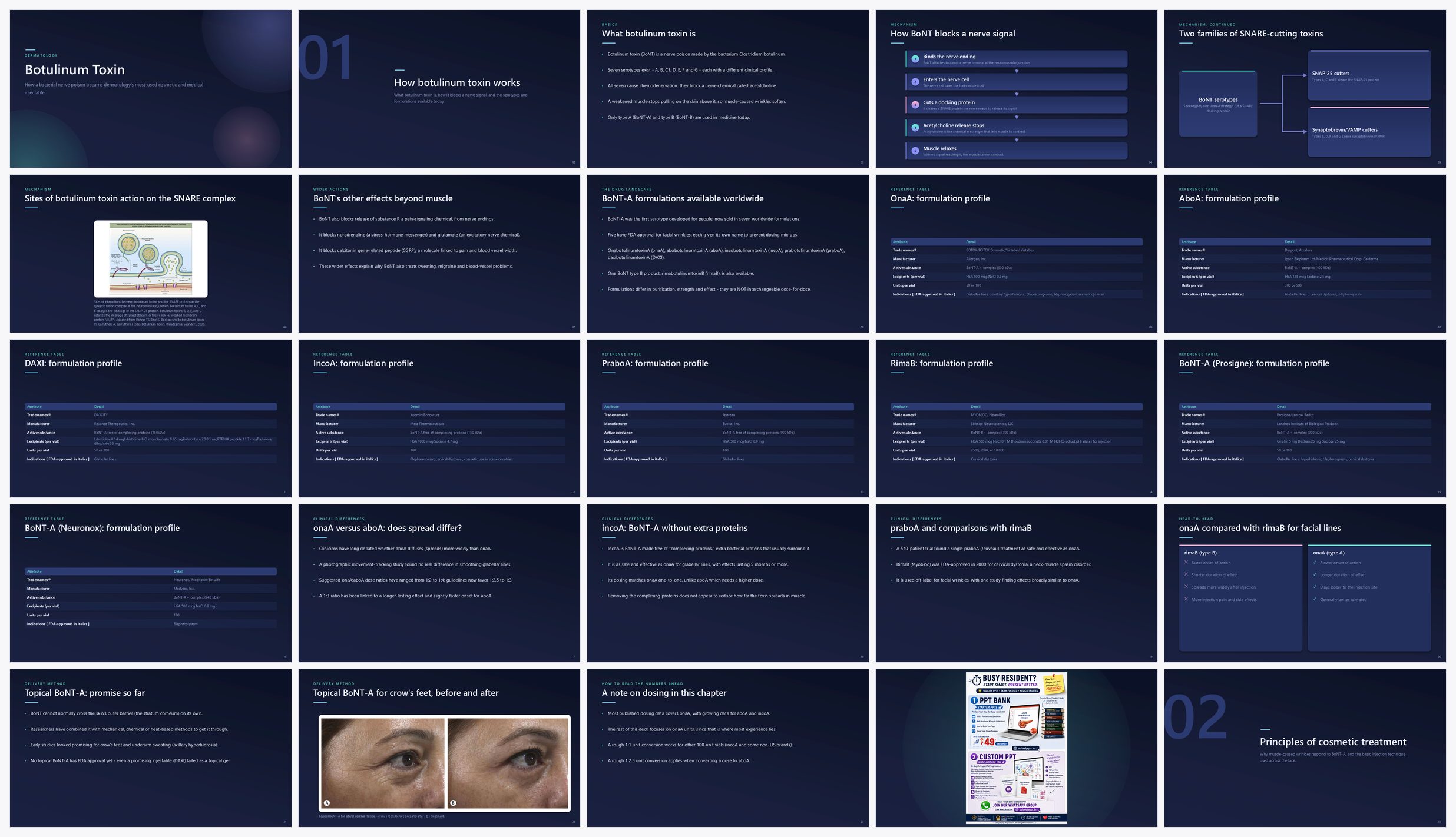 Preview of the first 25 slides of Botulinum Toxin