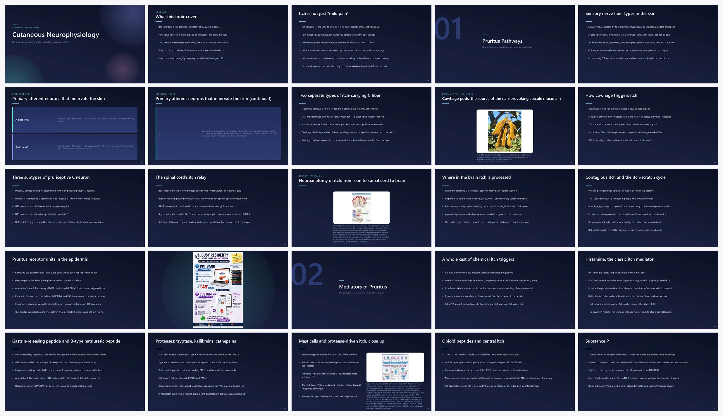 Preview of the first 25 slides of Cutaneous Neurophysiology