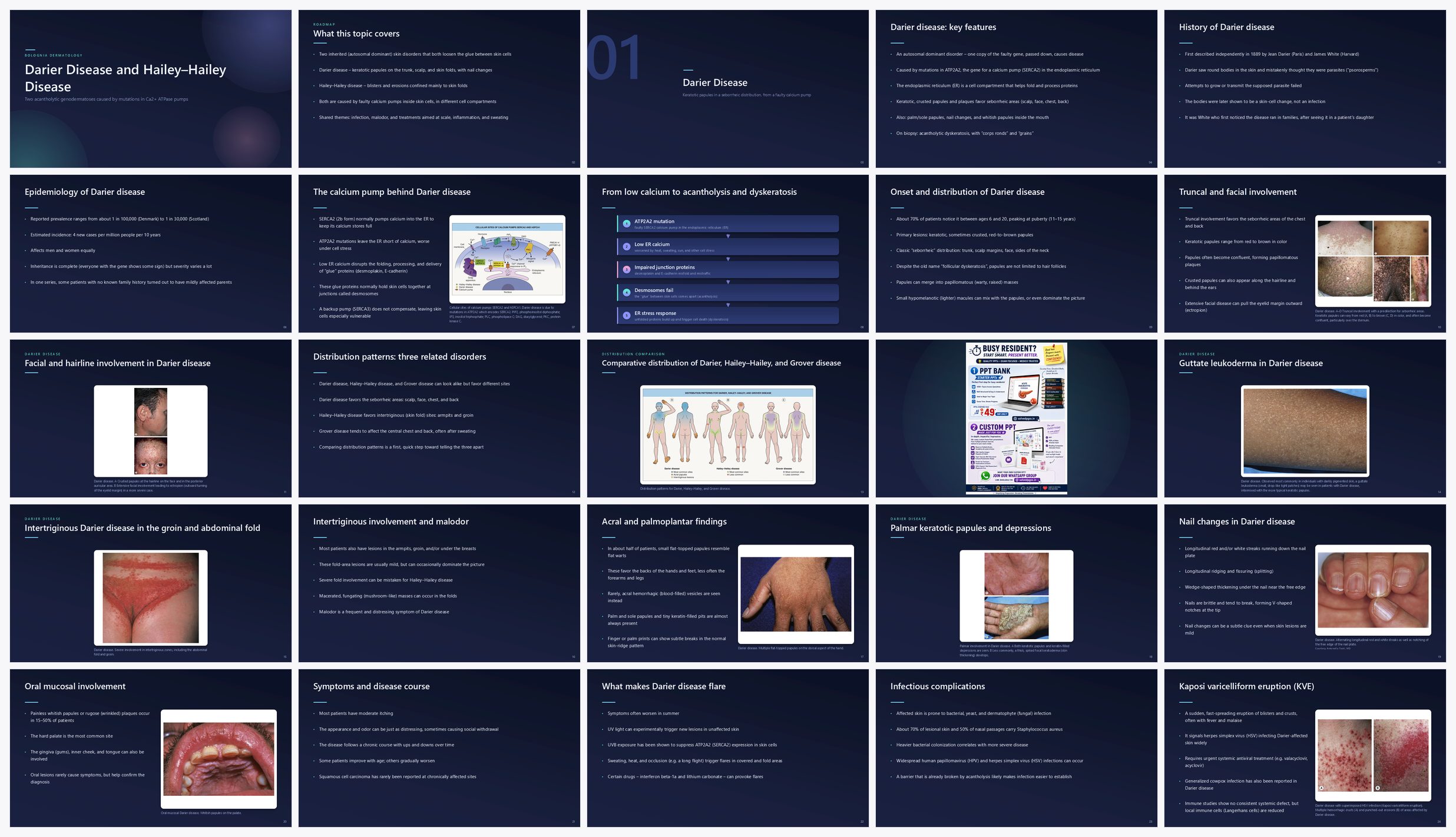Preview of the first 25 slides of Darier Disease and Hailey–Hailey Disease