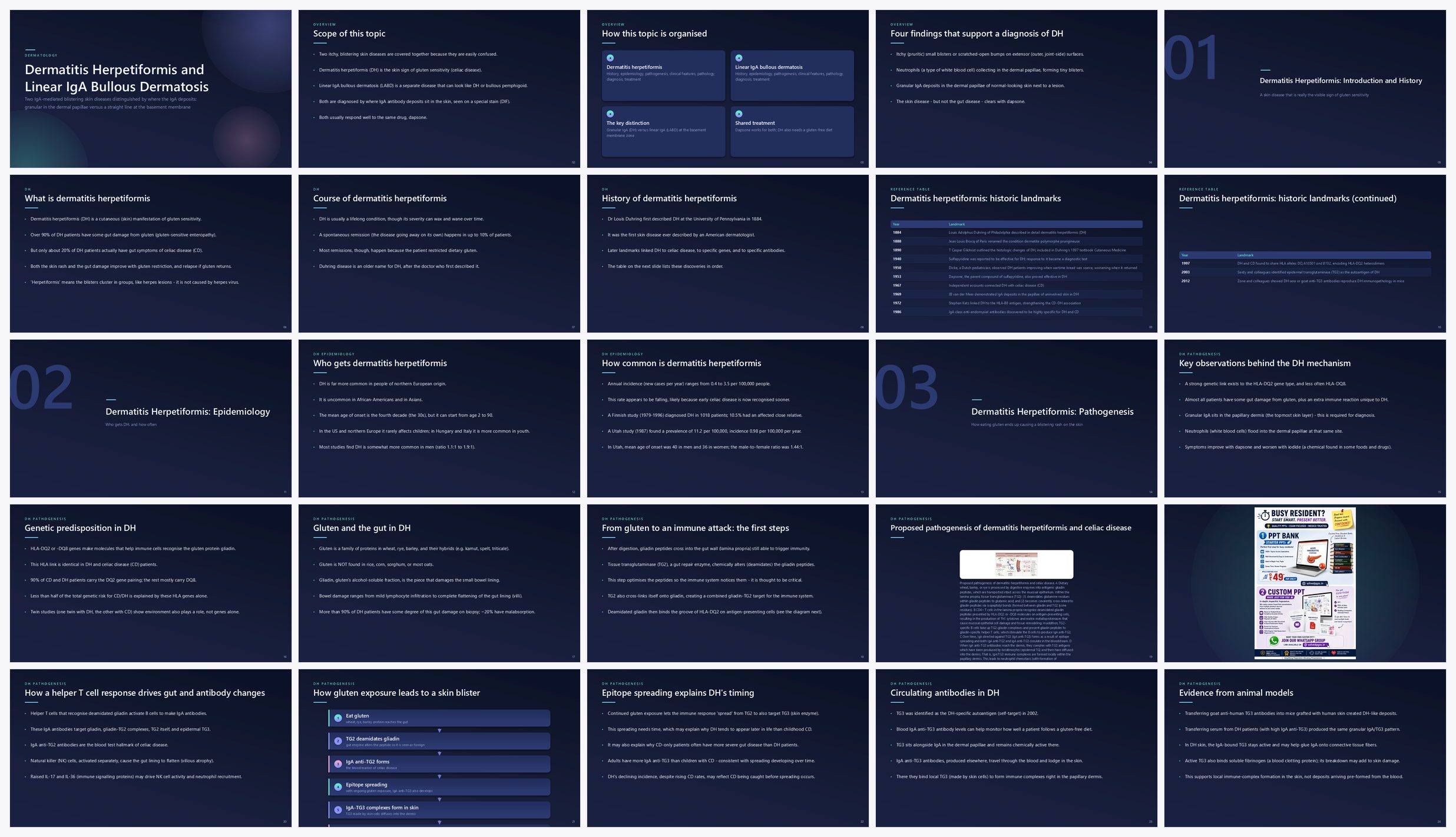 Preview of the first 25 slides of Dermatitis Herpetiformis and Linear IgA Bullous Dermatosis