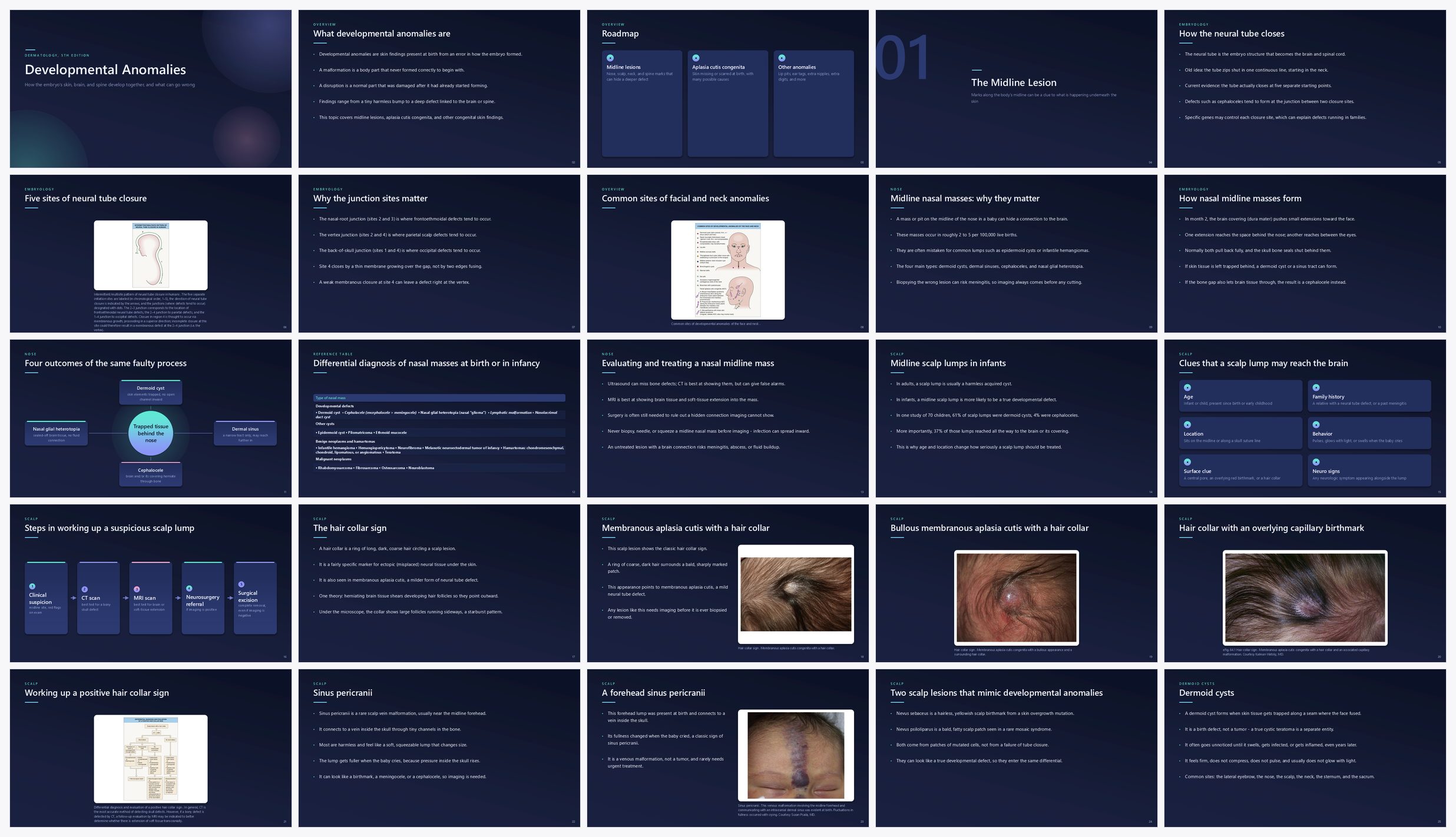 Preview of the first 25 slides of Developmental Anomalies