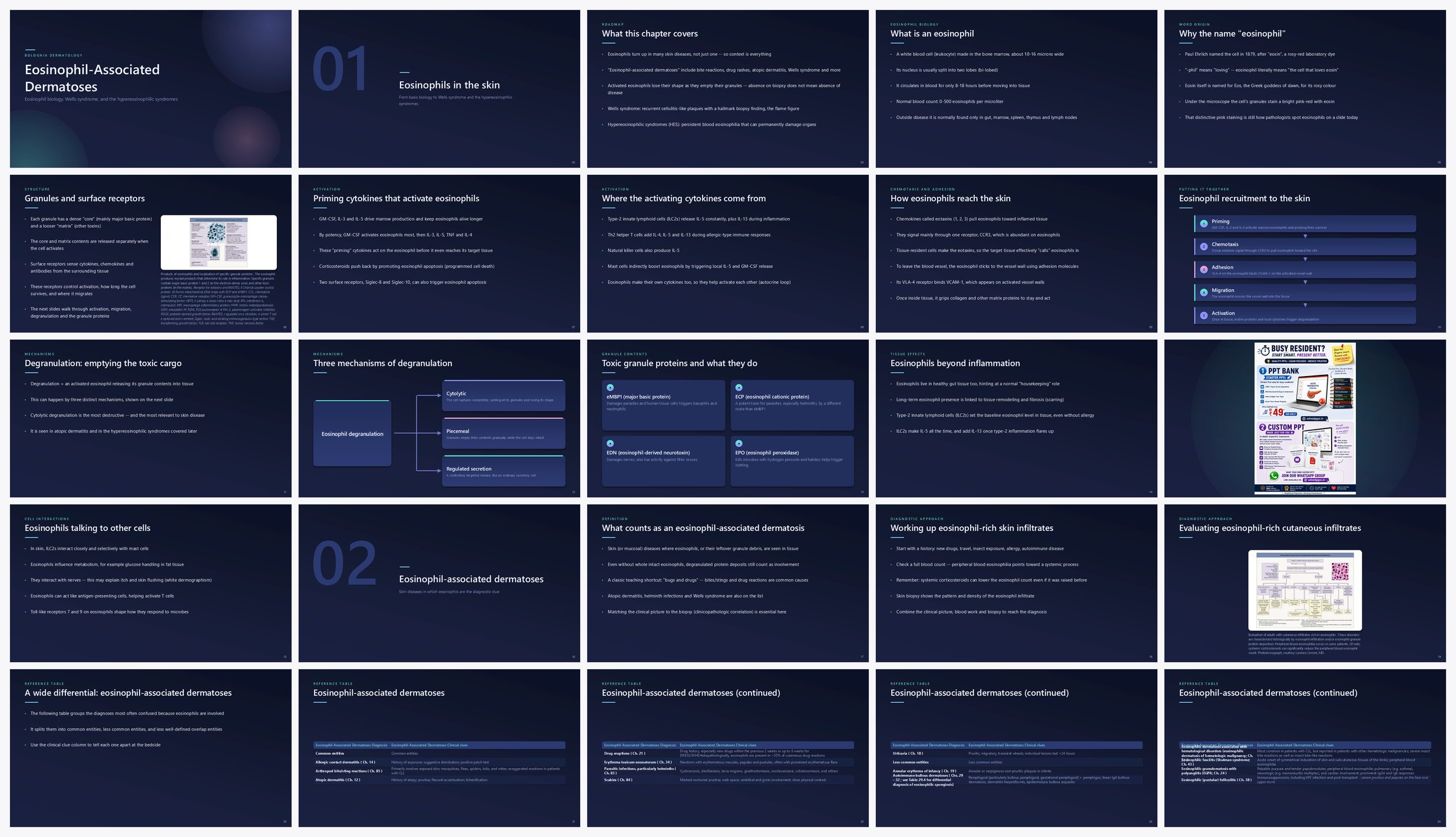 Preview of the first 25 slides of Eosinophil-Associated Dermatoses