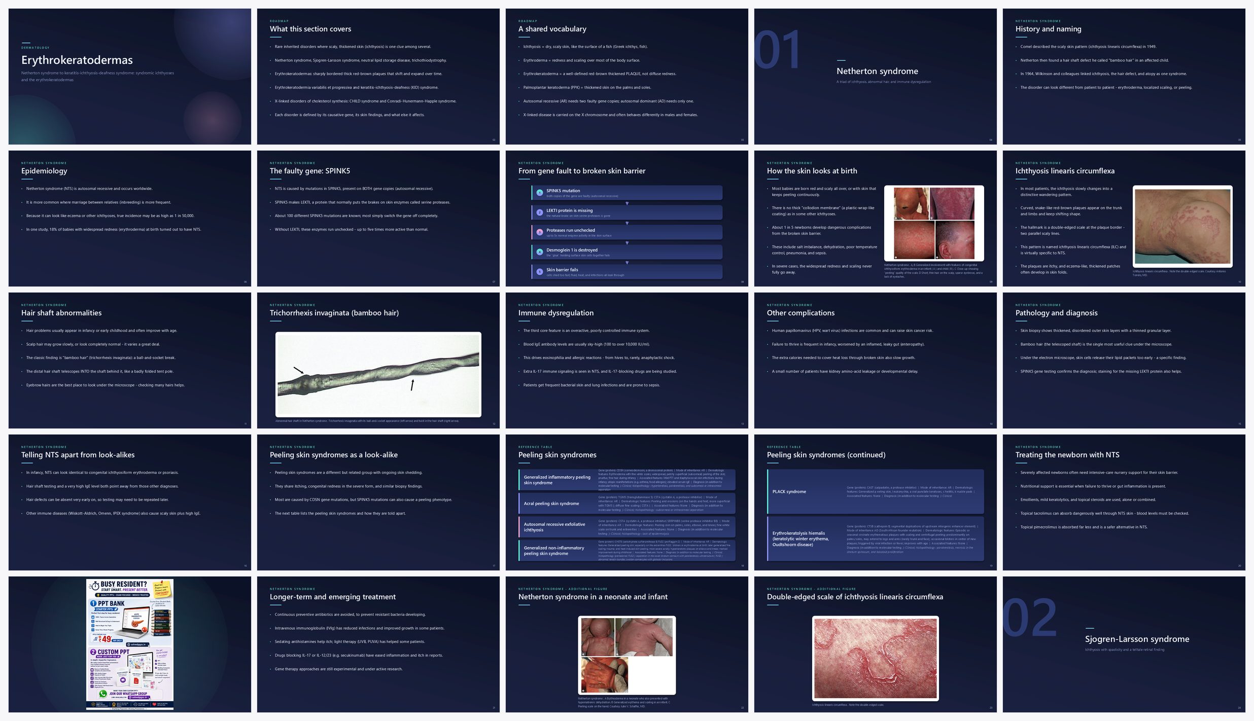 Preview of the first 25 slides of ERYTHROKERATODERMAS