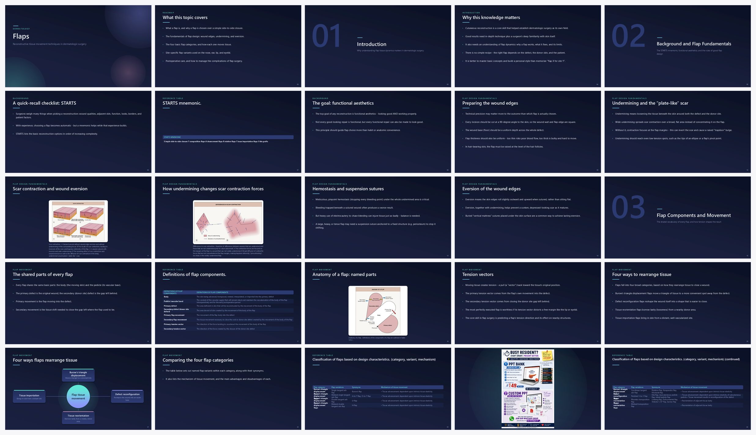 Preview of the first 25 slides of Flaps