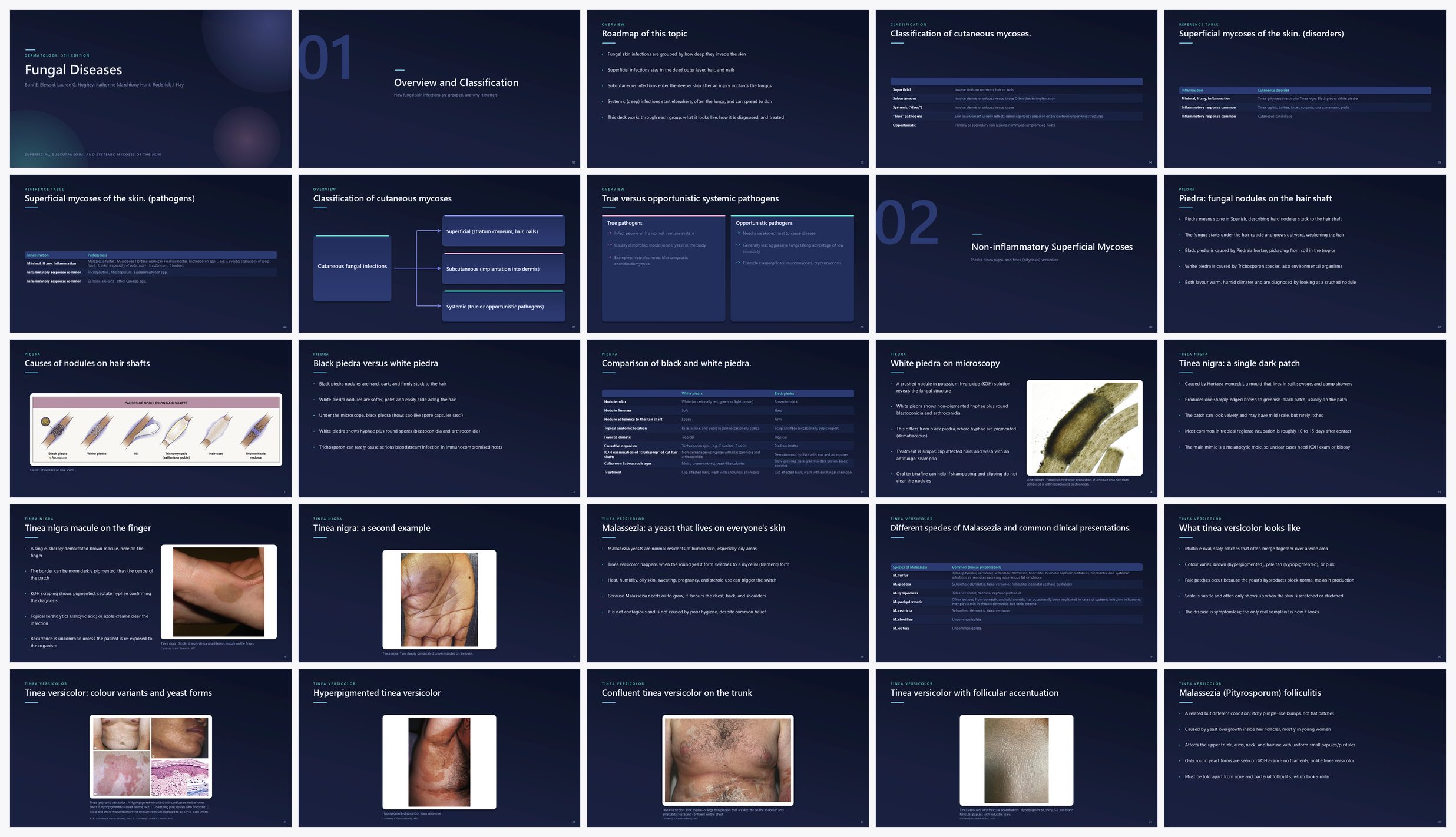 Preview of the first 25 slides of Fungal Diseases