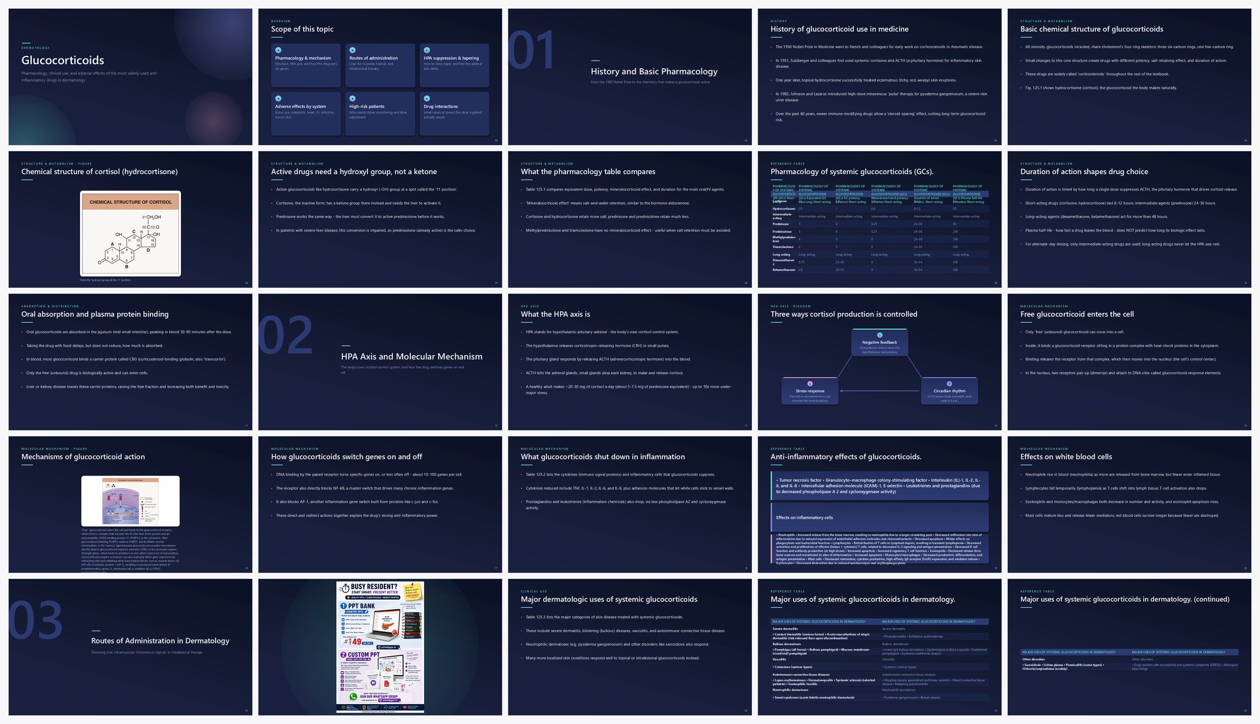 Preview of the first 25 slides of Glucocorticoids