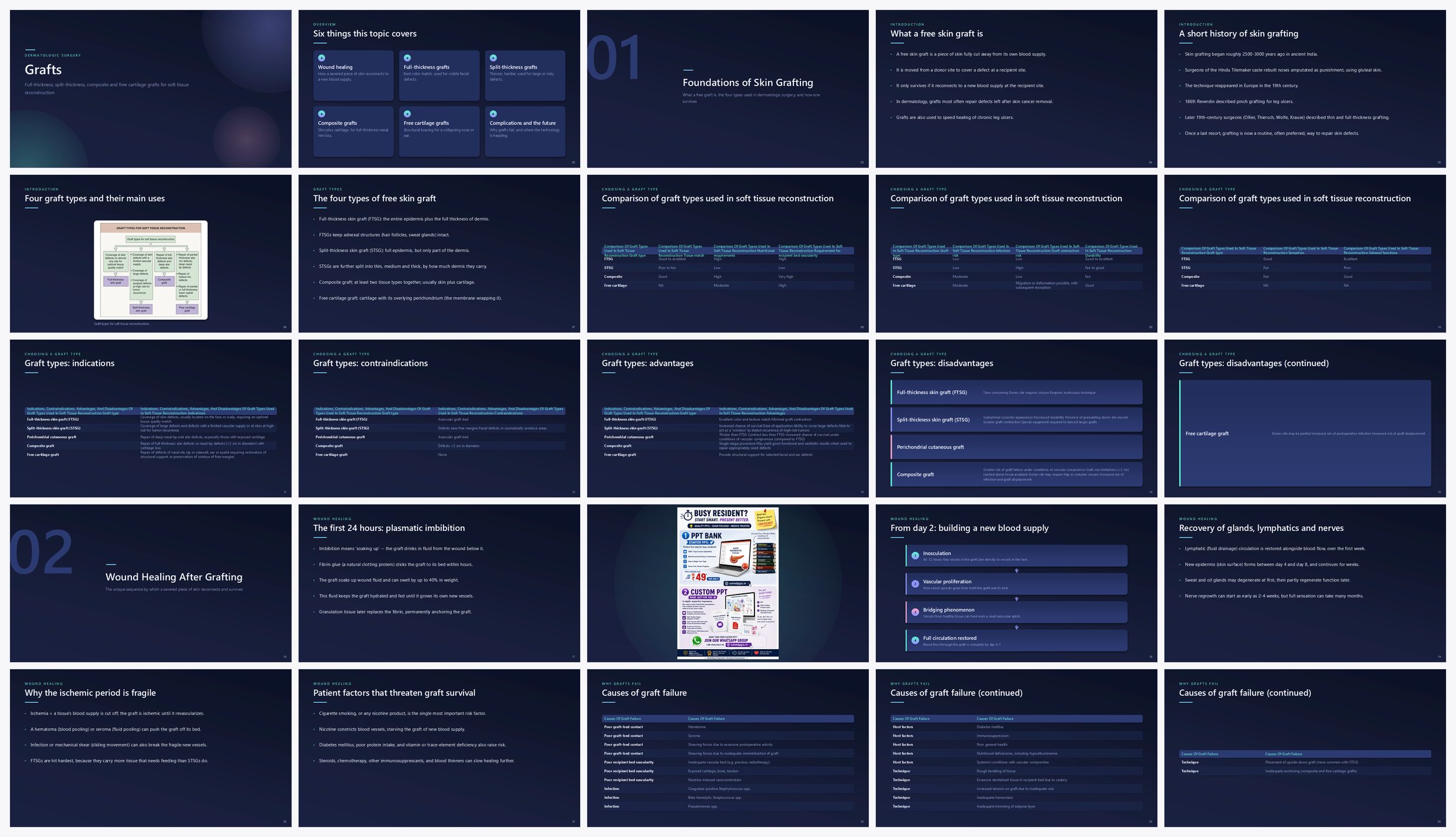 Preview of the first 25 slides of Grafts
