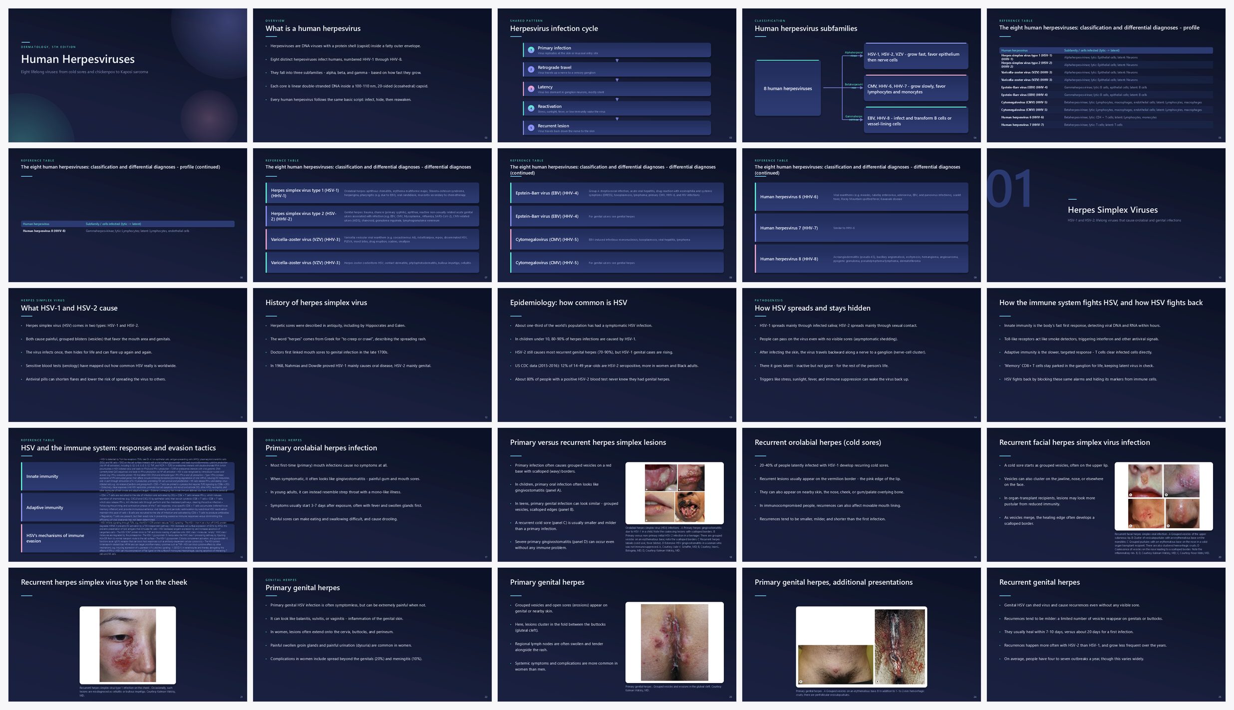 Preview of the first 25 slides of Human Herpesviruses