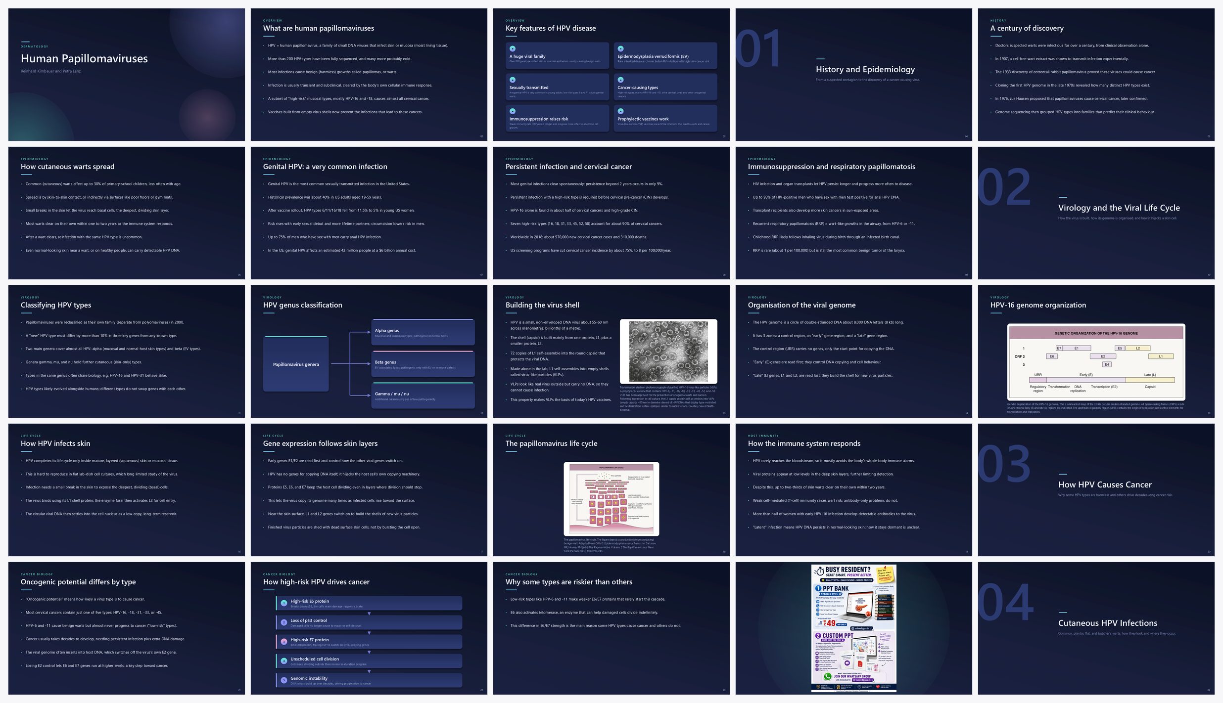 Preview of the first 25 slides of Human Papillomaviruses