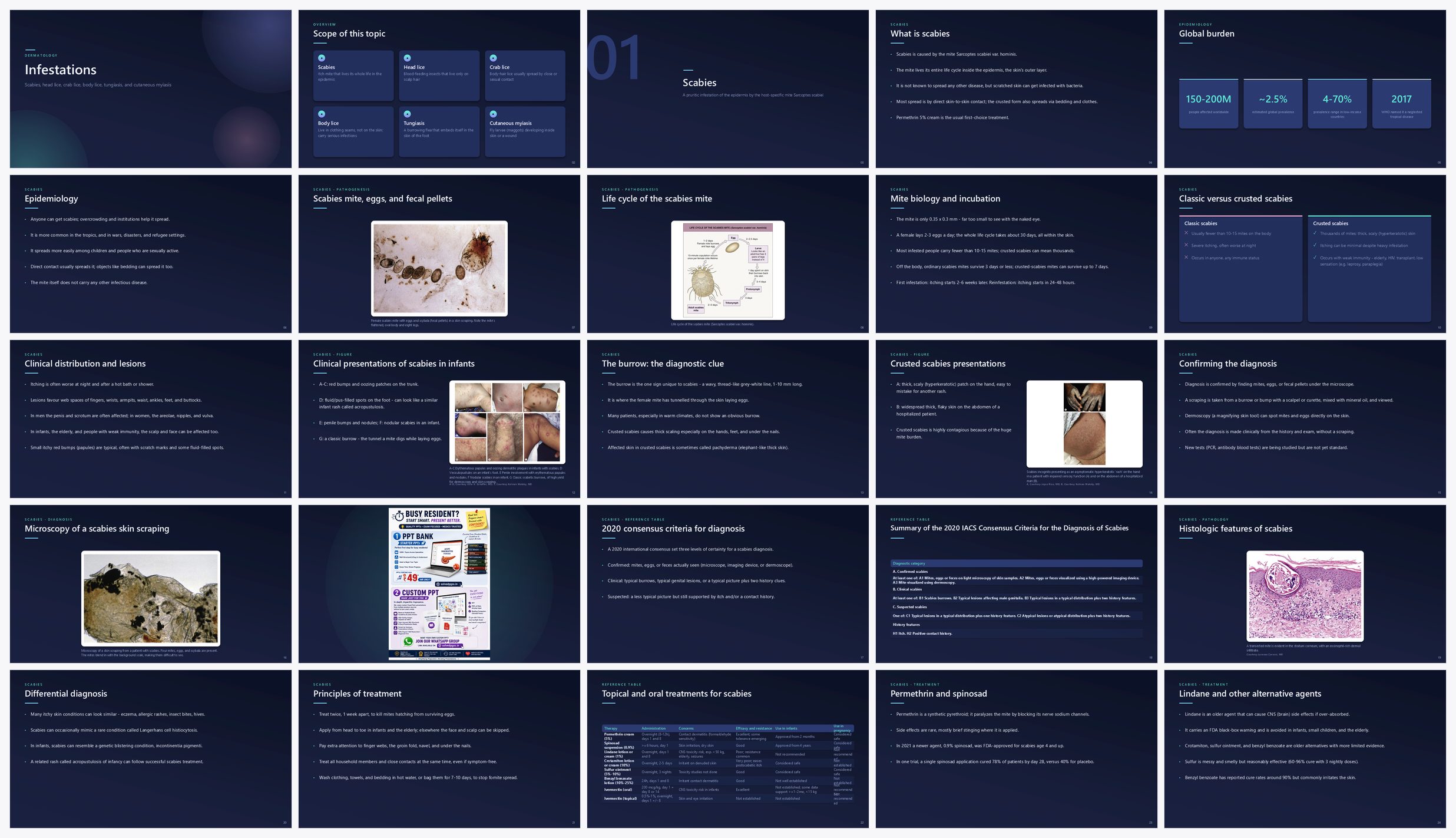 Preview of the first 25 slides of Infestations