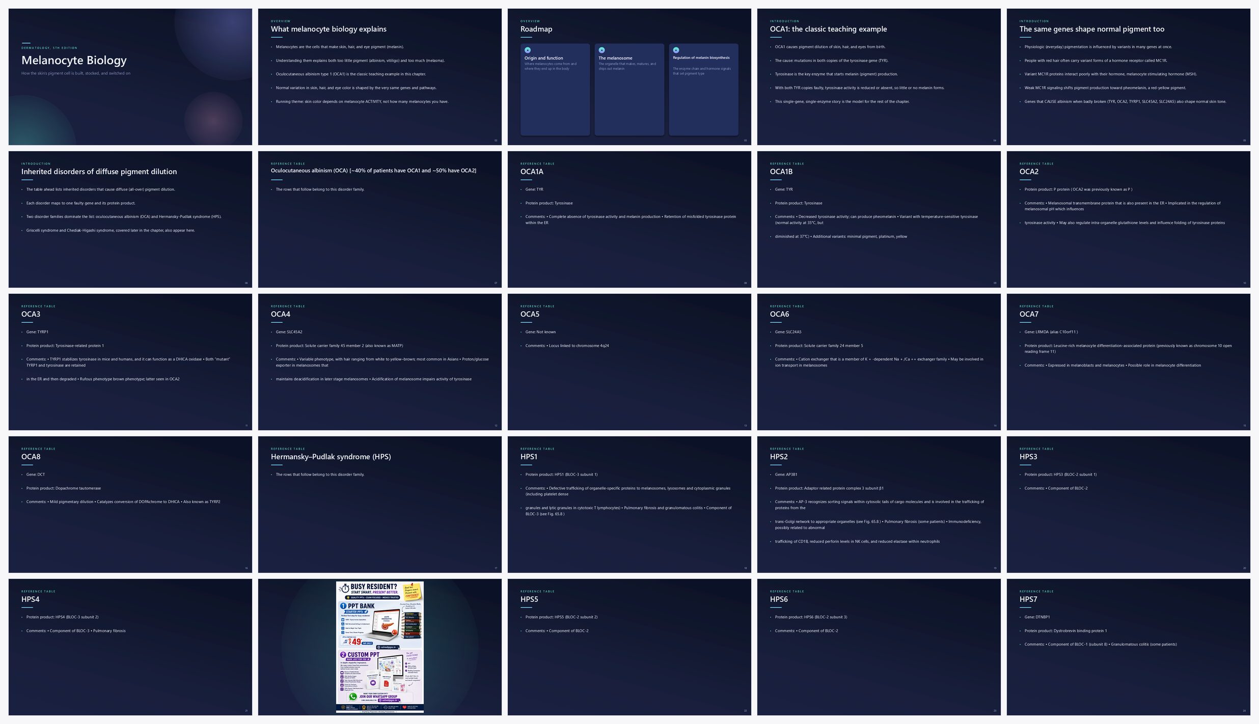 Preview of the first 25 slides of Melanocyte Biology