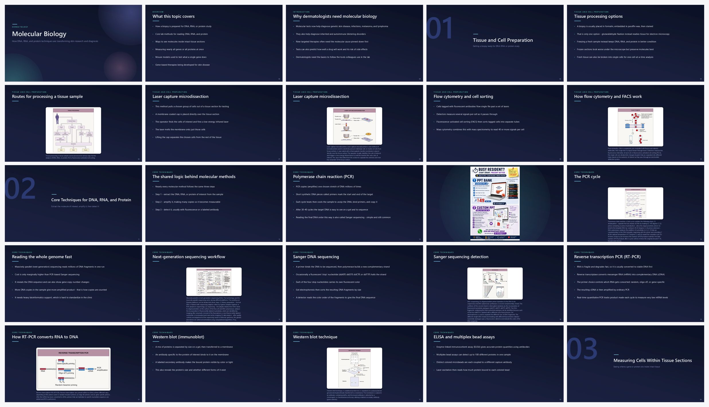 Preview of the first 25 slides of Molecular Biology