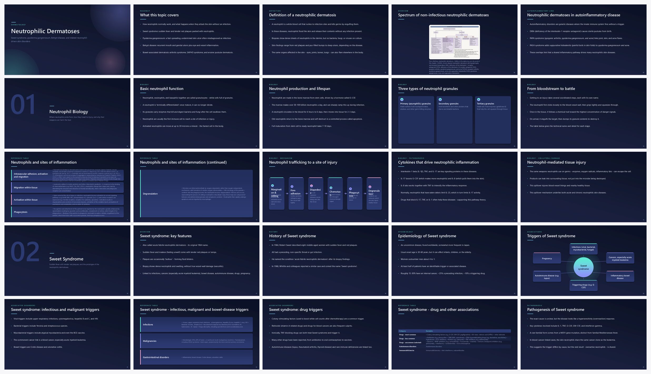 Preview of the first 25 slides of Neutrophilic Dermatoses