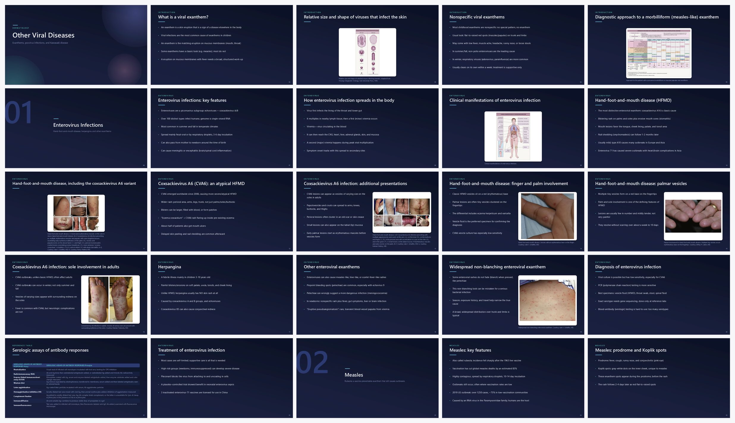 Preview of the first 25 slides of Other Viral Diseases