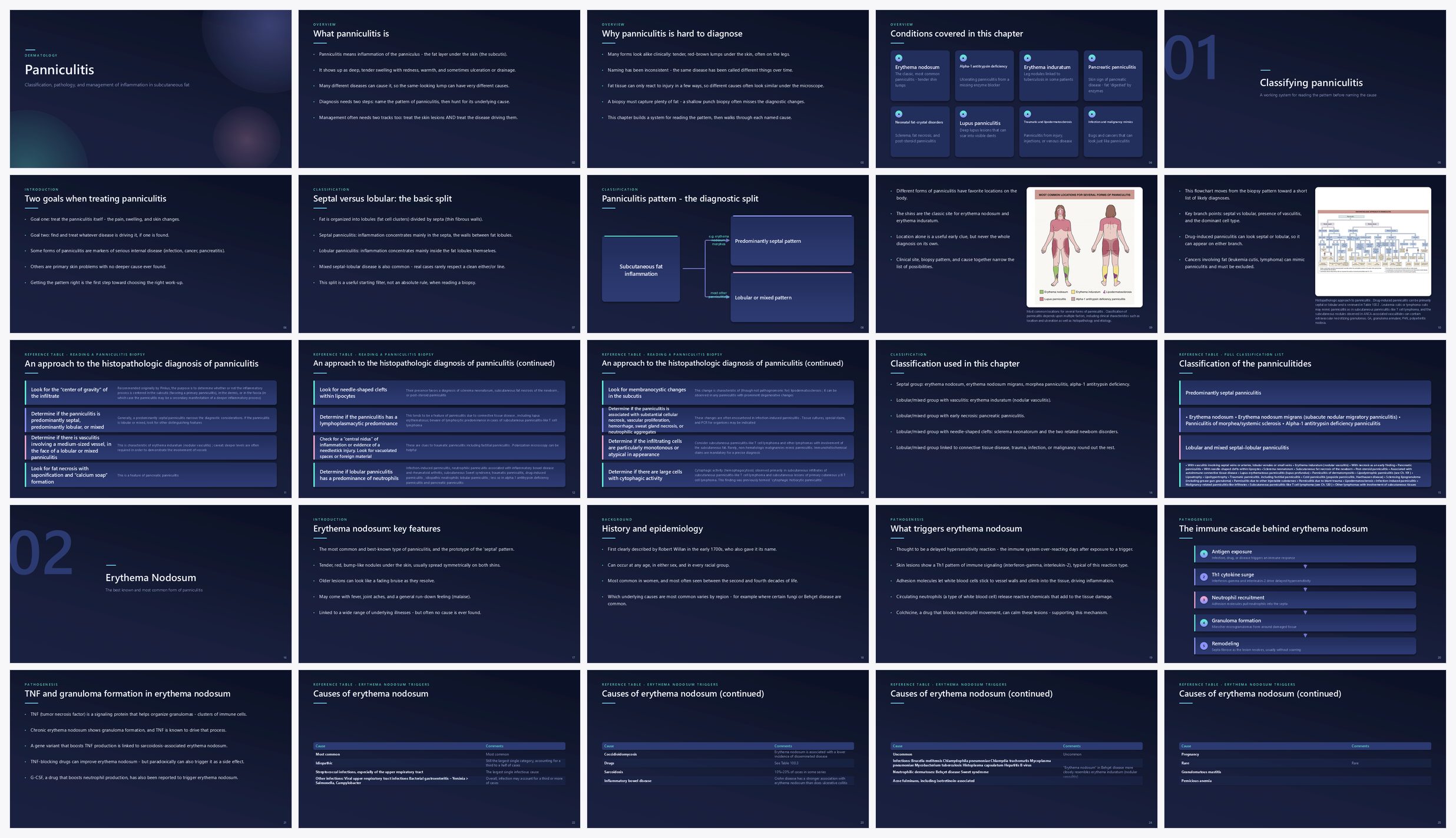 Preview of the first 25 slides of Panniculitis