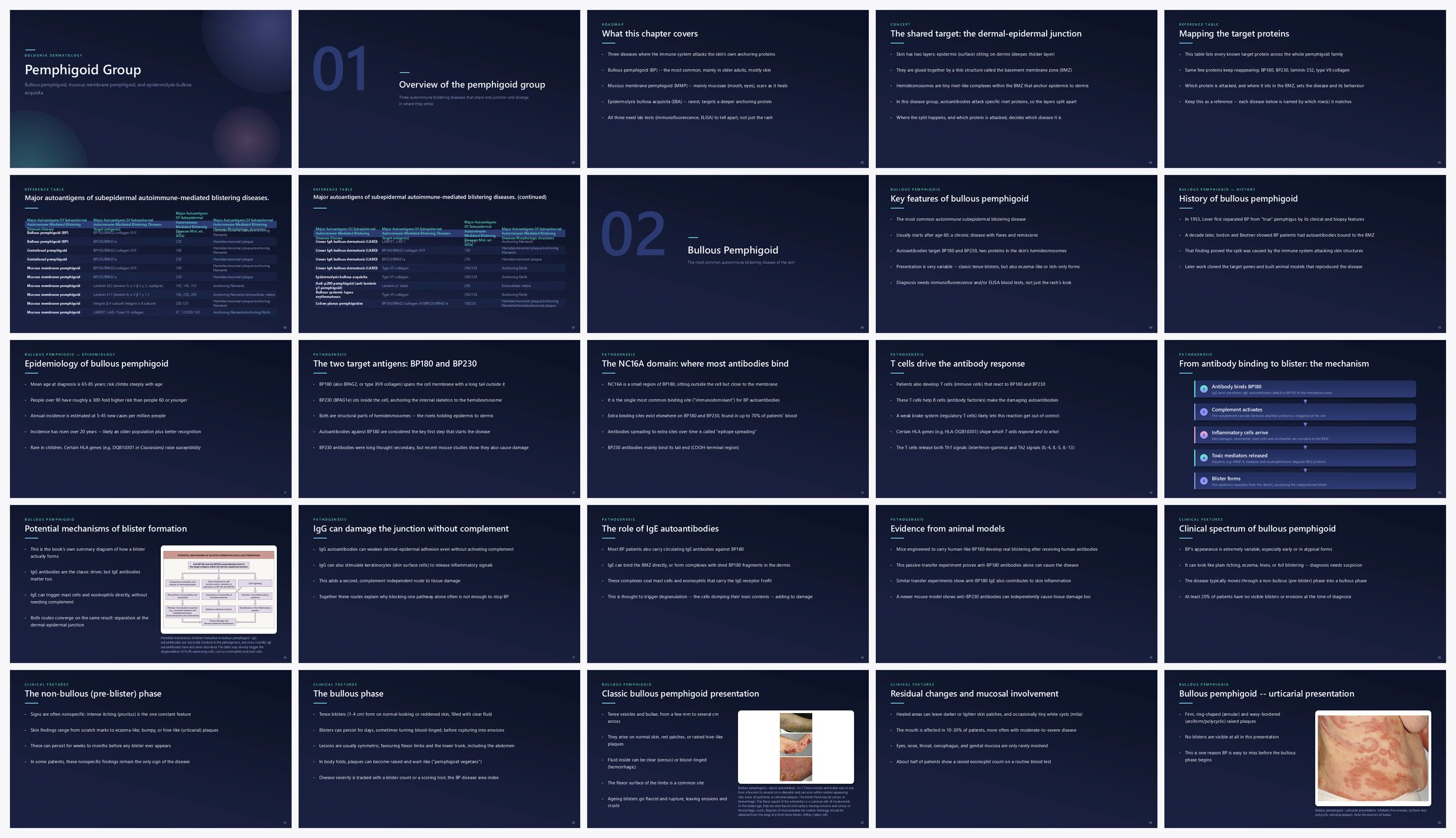 Preview of the first 25 slides of Pemphigoid Group