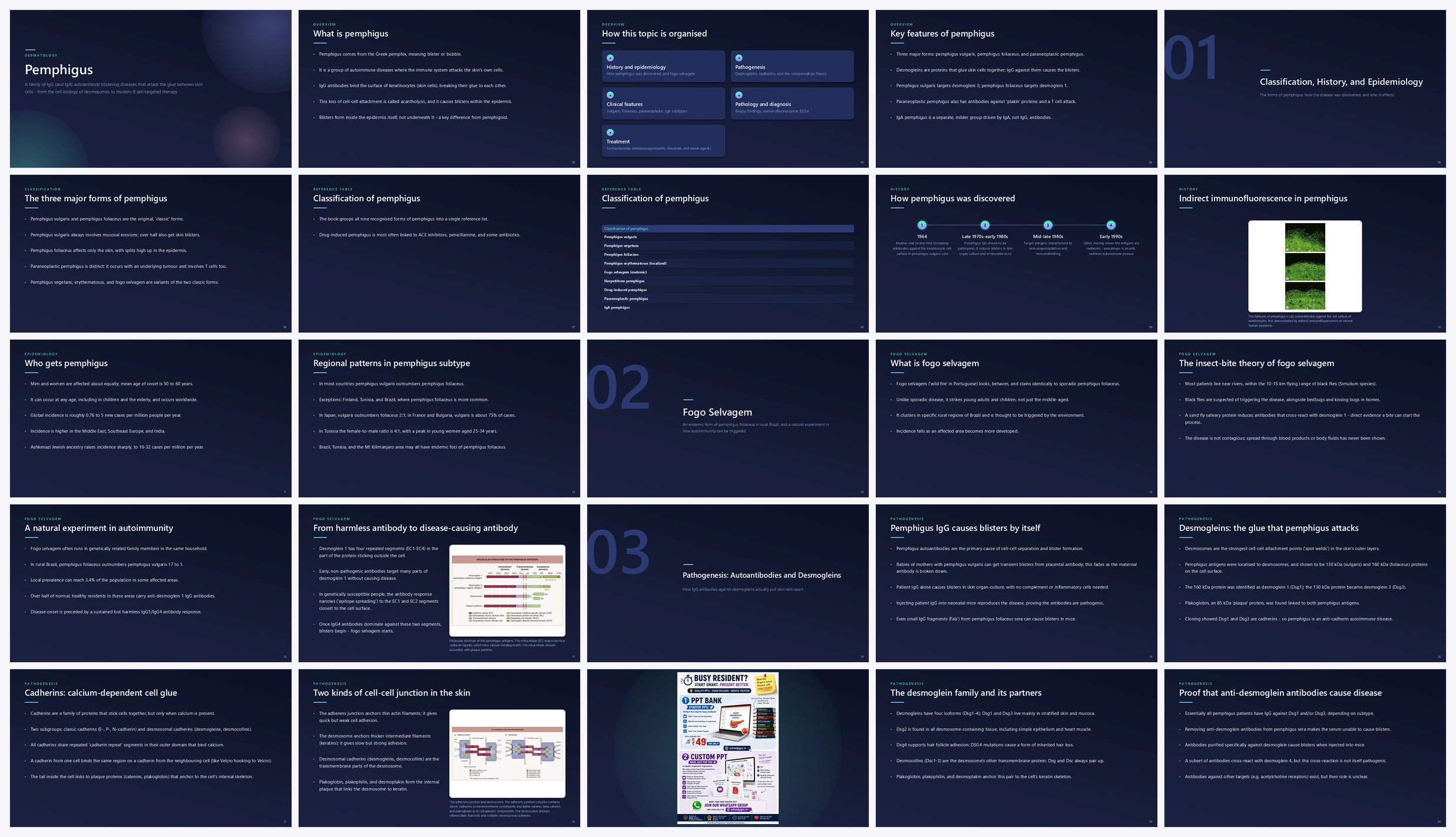 Preview of the first 25 slides of Pemphigus