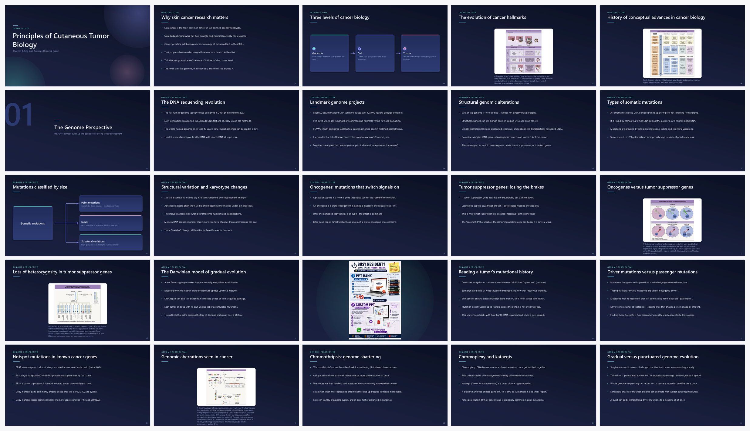 Preview of the first 25 slides of Principles of Cutaneous Tumor Biology
