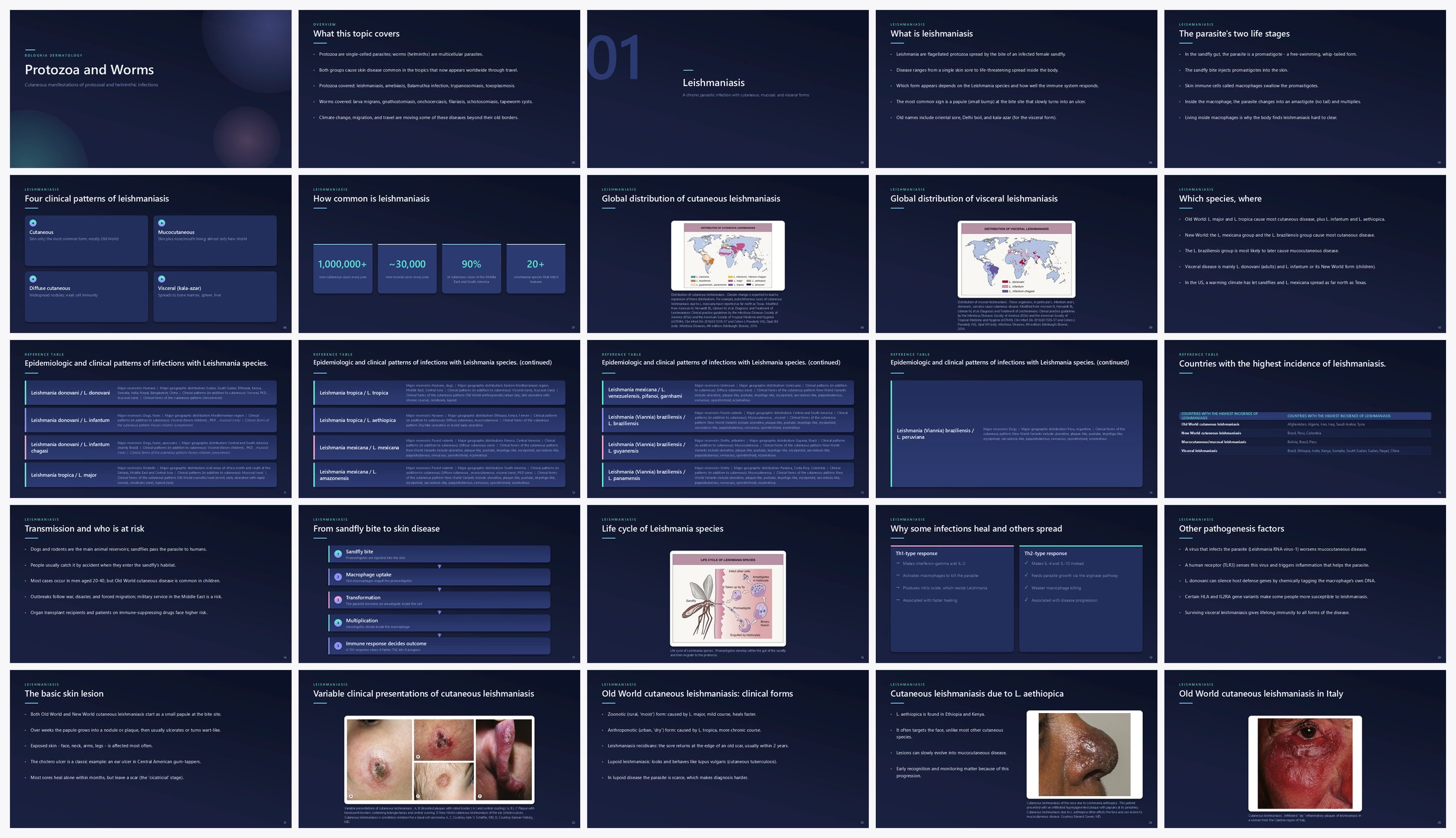 Preview of the first 25 slides of Protozoa and Worms