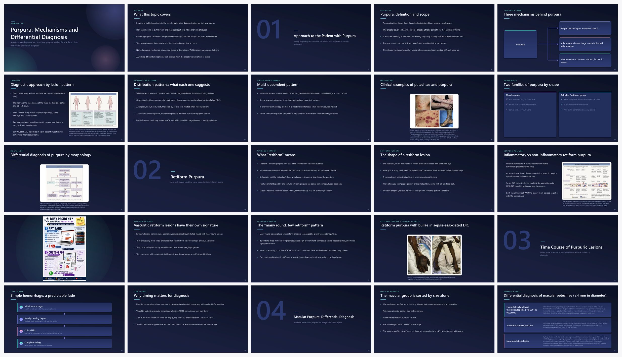 Preview of the first 25 slides of Purpura Mechanisms and Differential Diagnosis