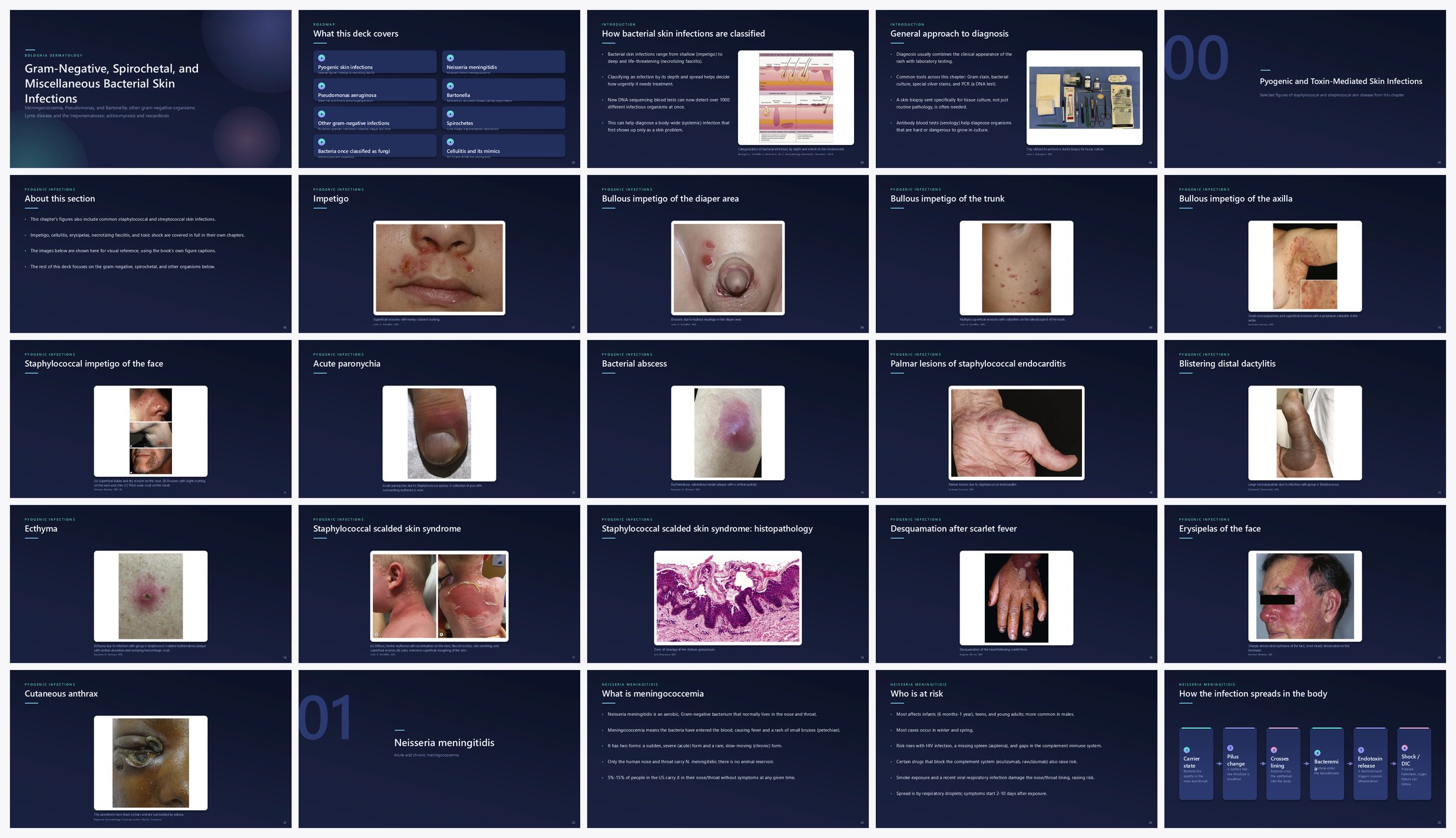 Preview of the first 25 slides of SPIROCHETES