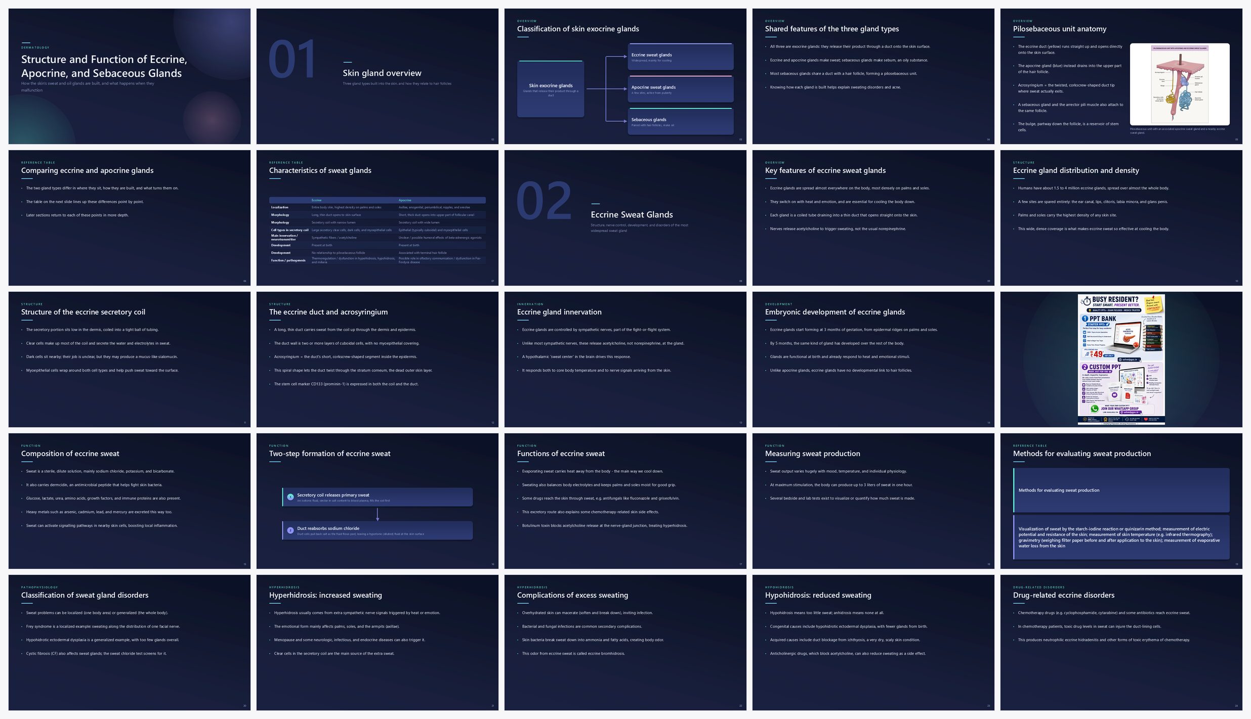 Preview of the first 25 slides of Structure and Function of Eccrine, Apocrine, and Sebaceous Glands