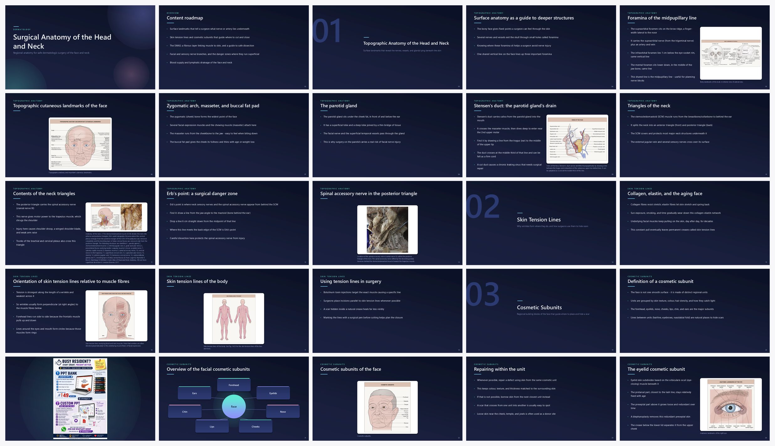 Preview of the first 25 slides of Surgical Anatomy of the Head and Neck