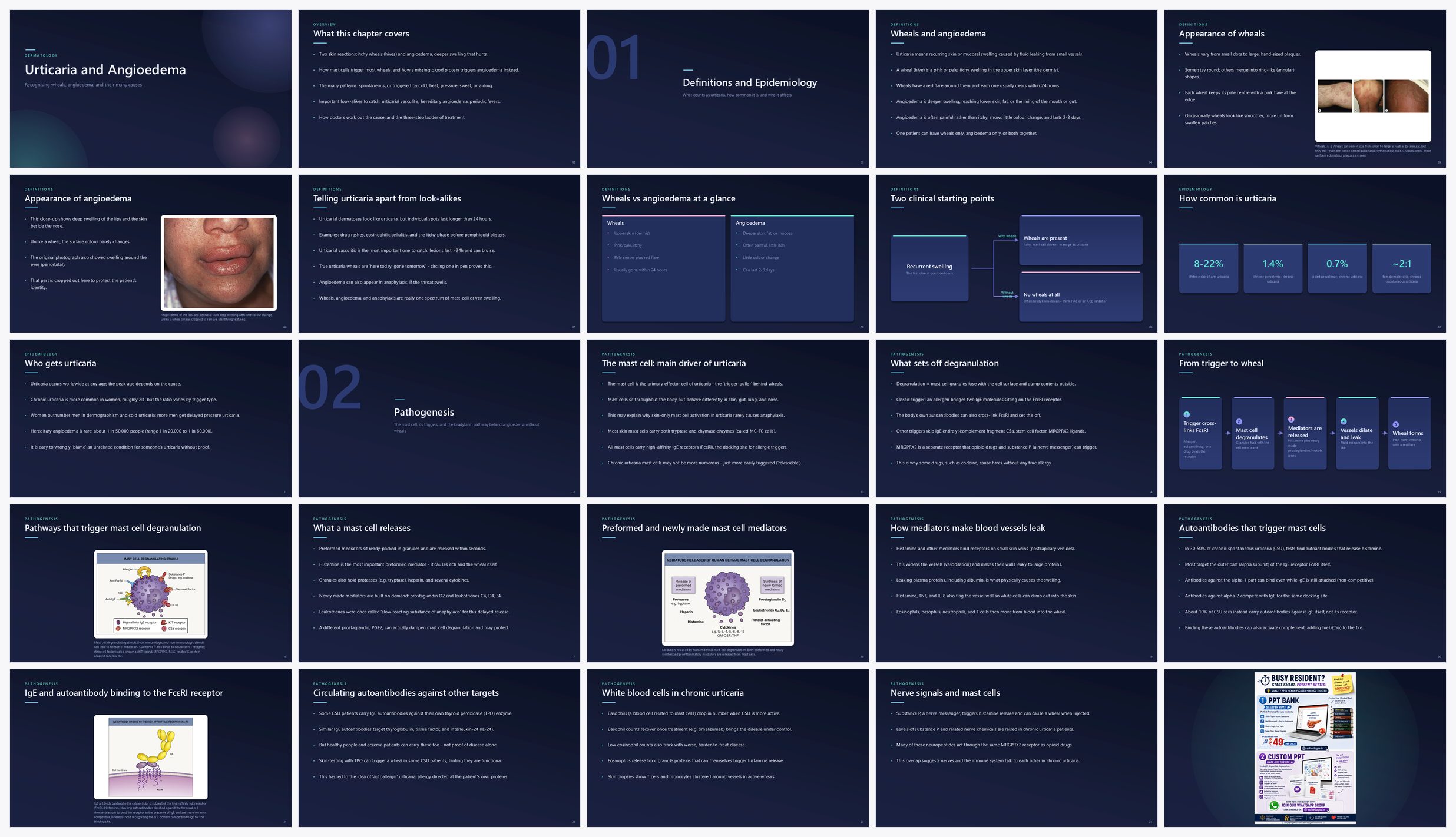 Preview of the first 25 slides of Urticaria and Angioedema