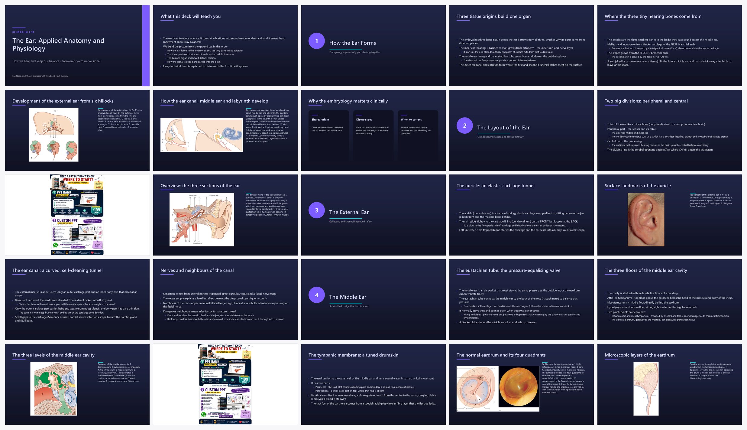 Preview of the first 25 slides of Ear Applied Anatomy and Physiology
