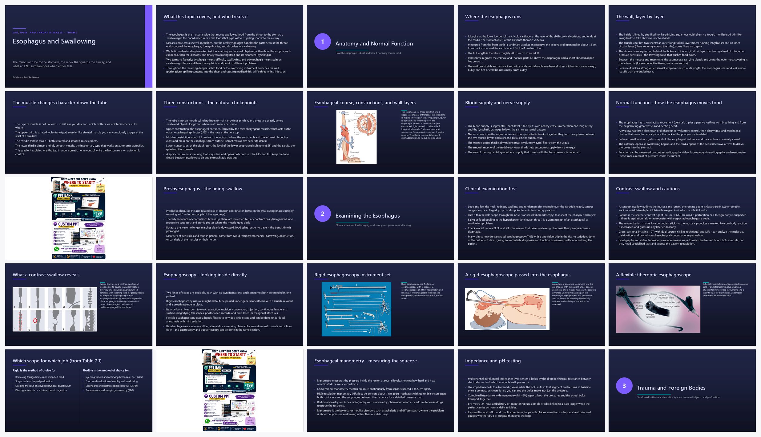 Preview of the first 25 slides of Esophagus and Swallowing