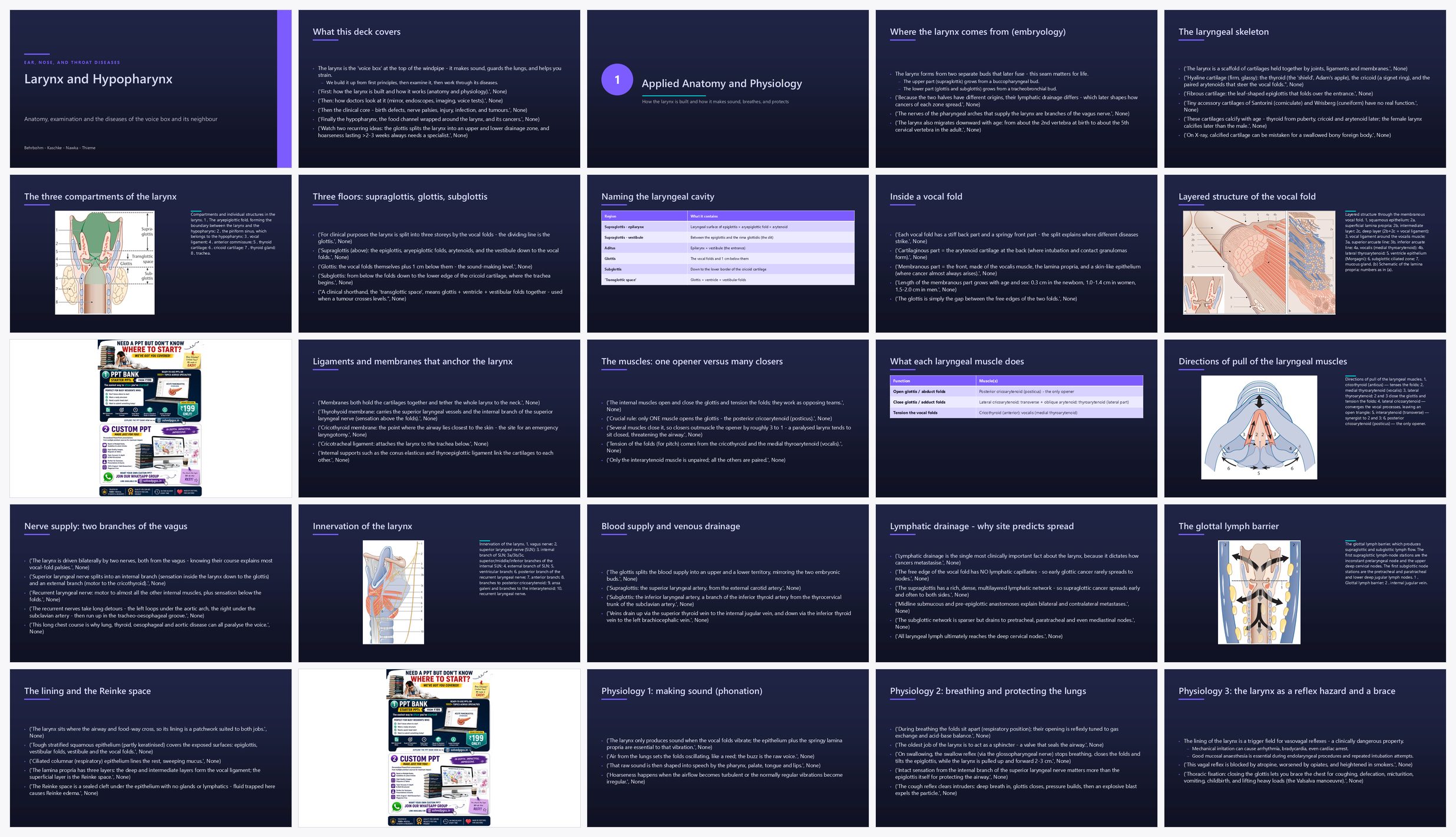 Preview of the first 25 slides of Larynx and Hypopharynx