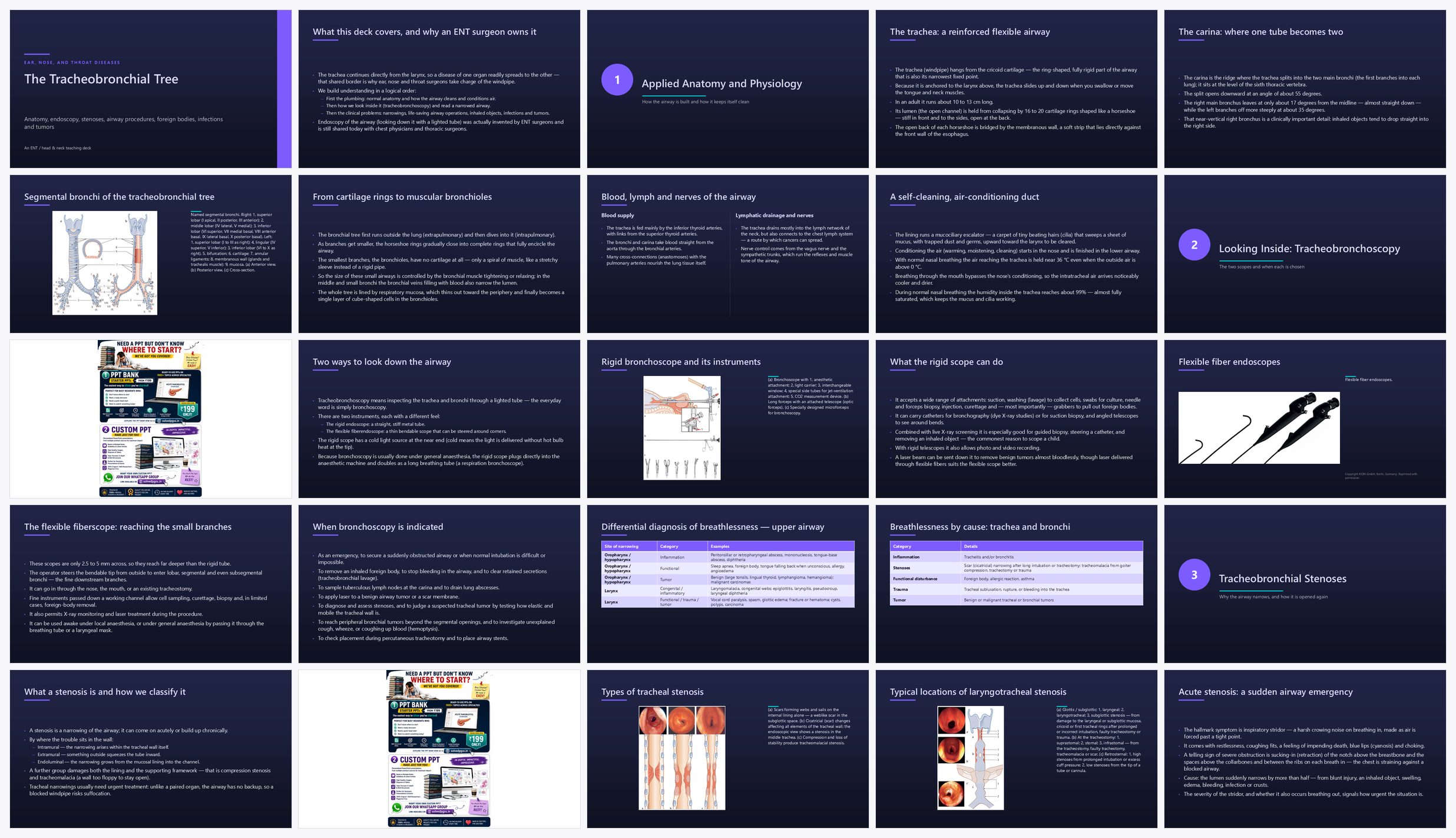 Preview of the first 25 slides of Tracheobronchial Tree