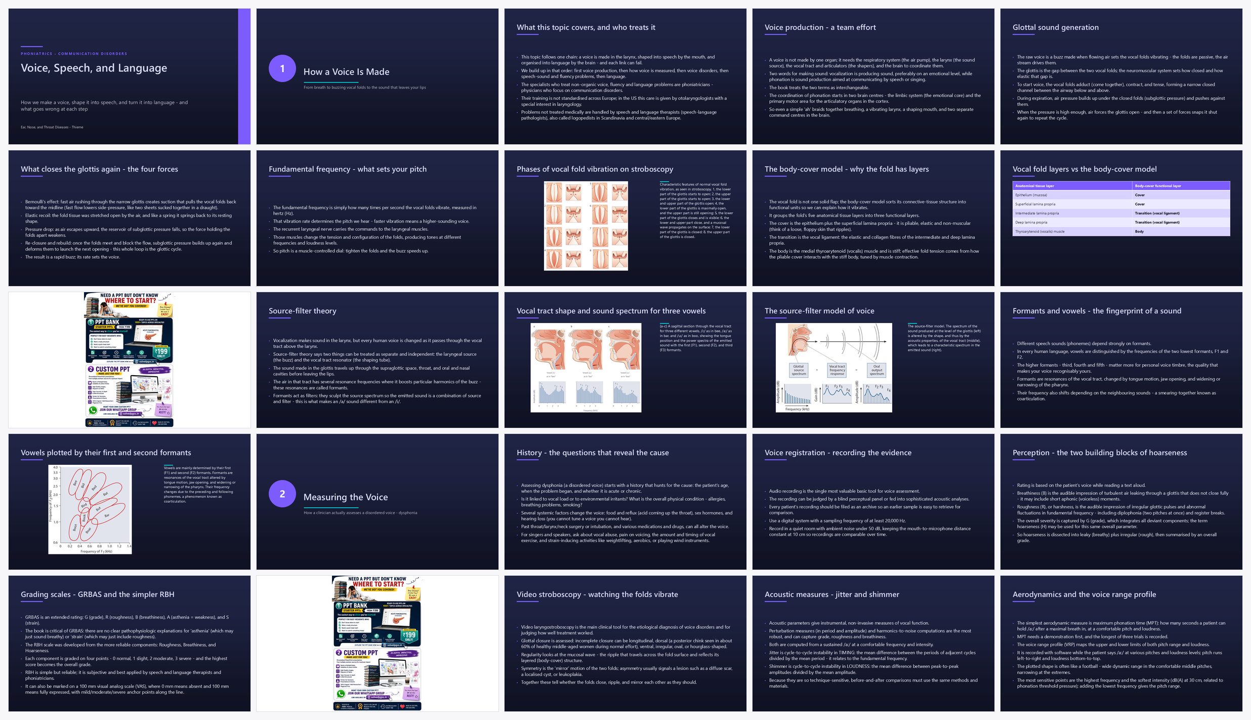 Preview of the first 25 slides of Voice Speech and Language