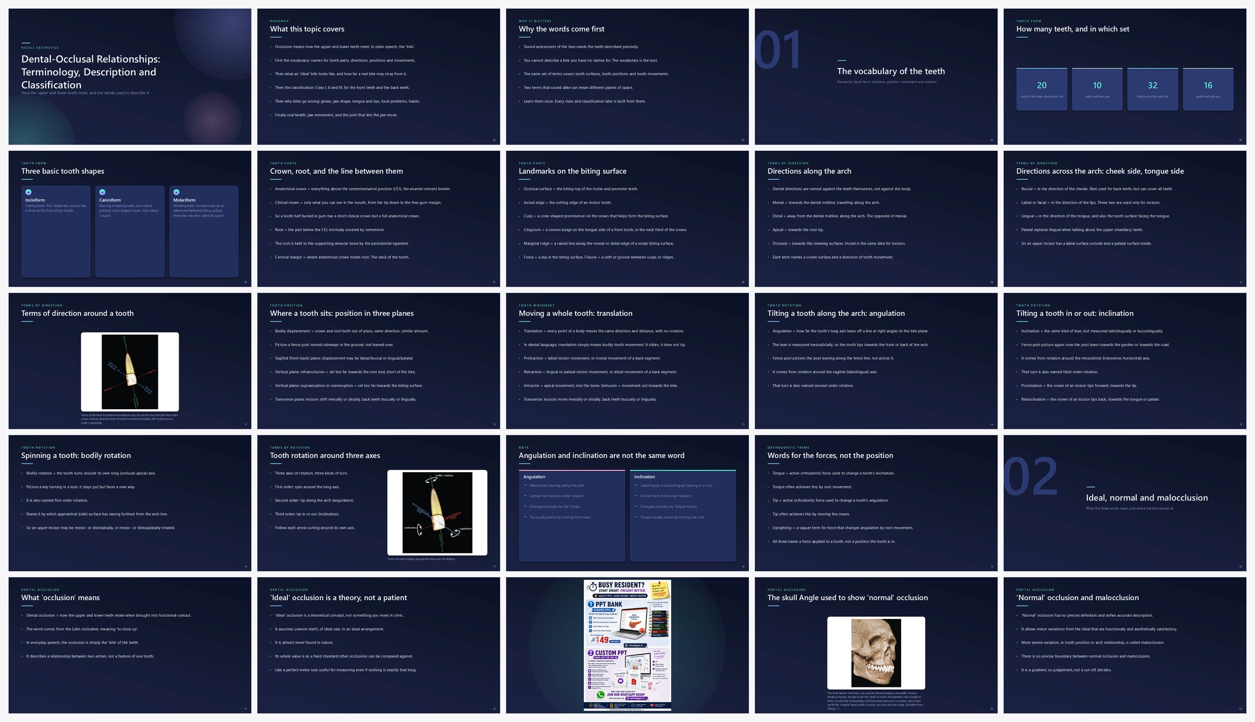 Preview of the first 25 slides of Dental-Occlusal Relationships Terminology, Description and Classification