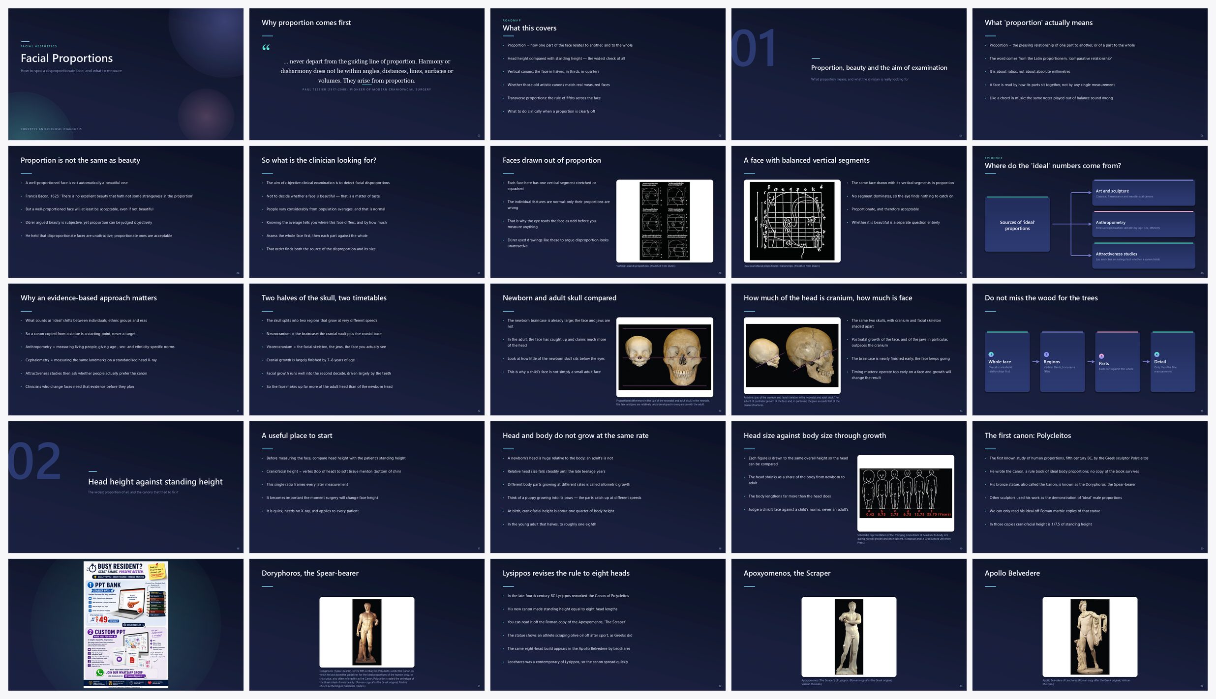 Preview of the first 25 slides of Facial Proportions (Ch 10)