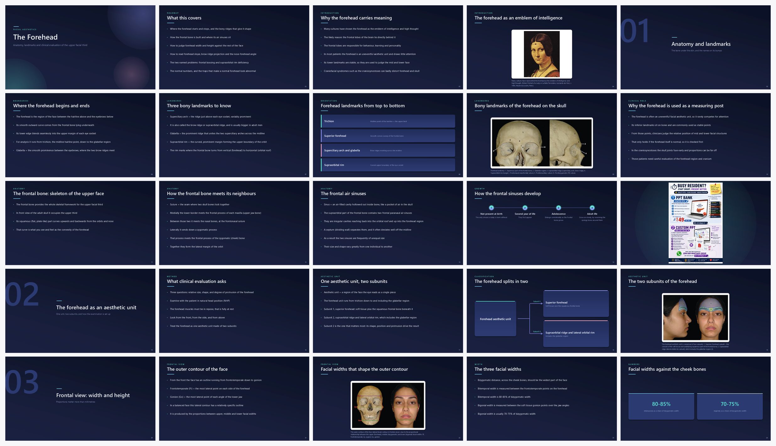 Preview of the first 25 slides of The Forehead