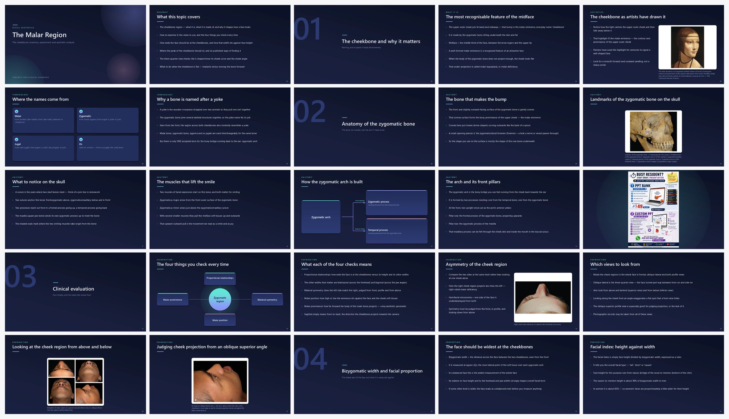 Preview of the first 25 slides of The Malar Region