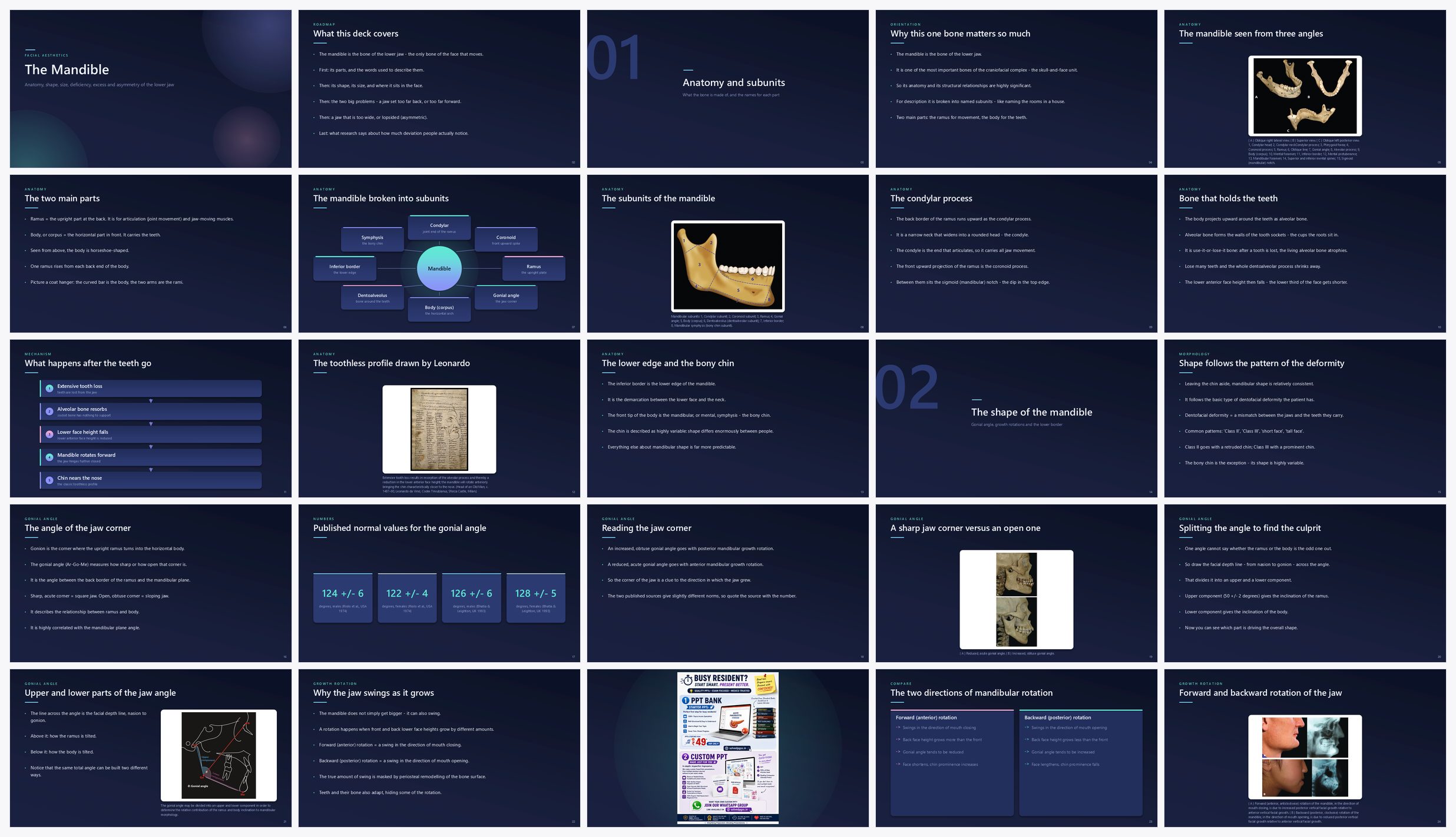 Preview of the first 25 slides of The Mandible