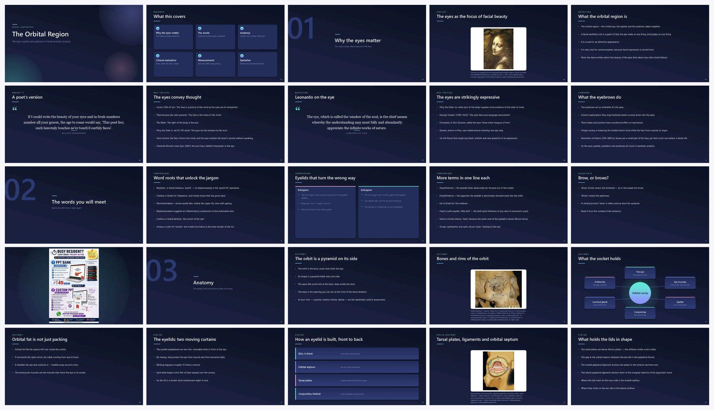 Preview of the first 25 slides of The Orbital Region
