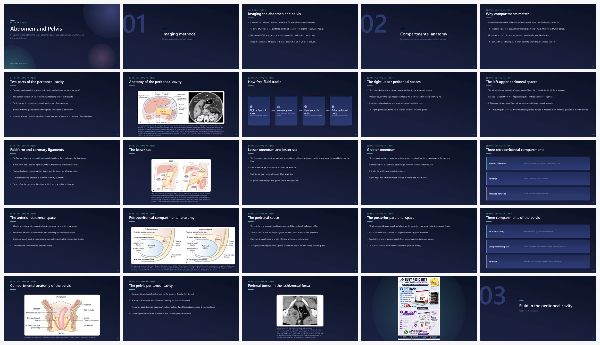 Preview of the first 25 slides of Abdomen and Pelvis